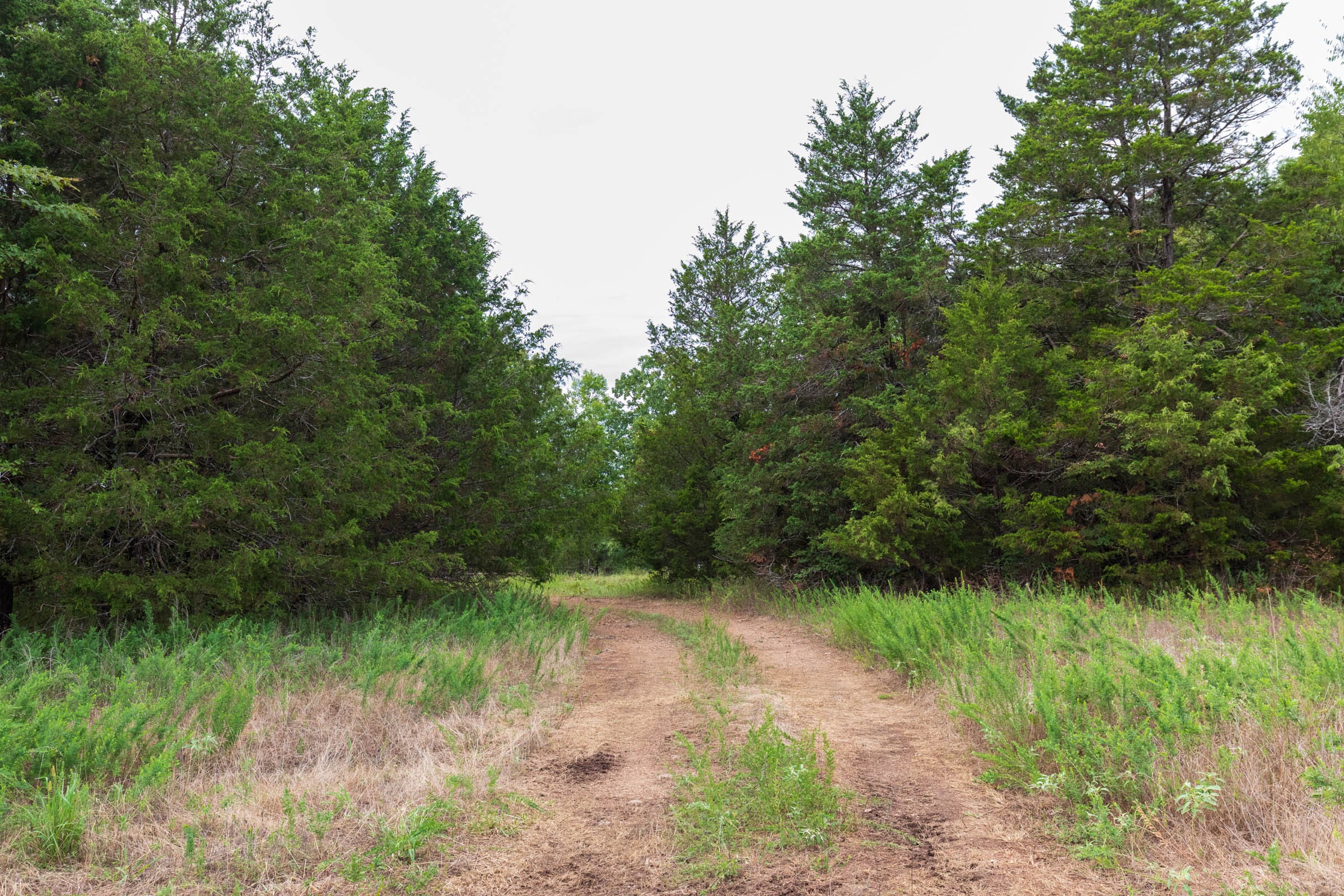 Heritage Bend Tract 9 photo 8