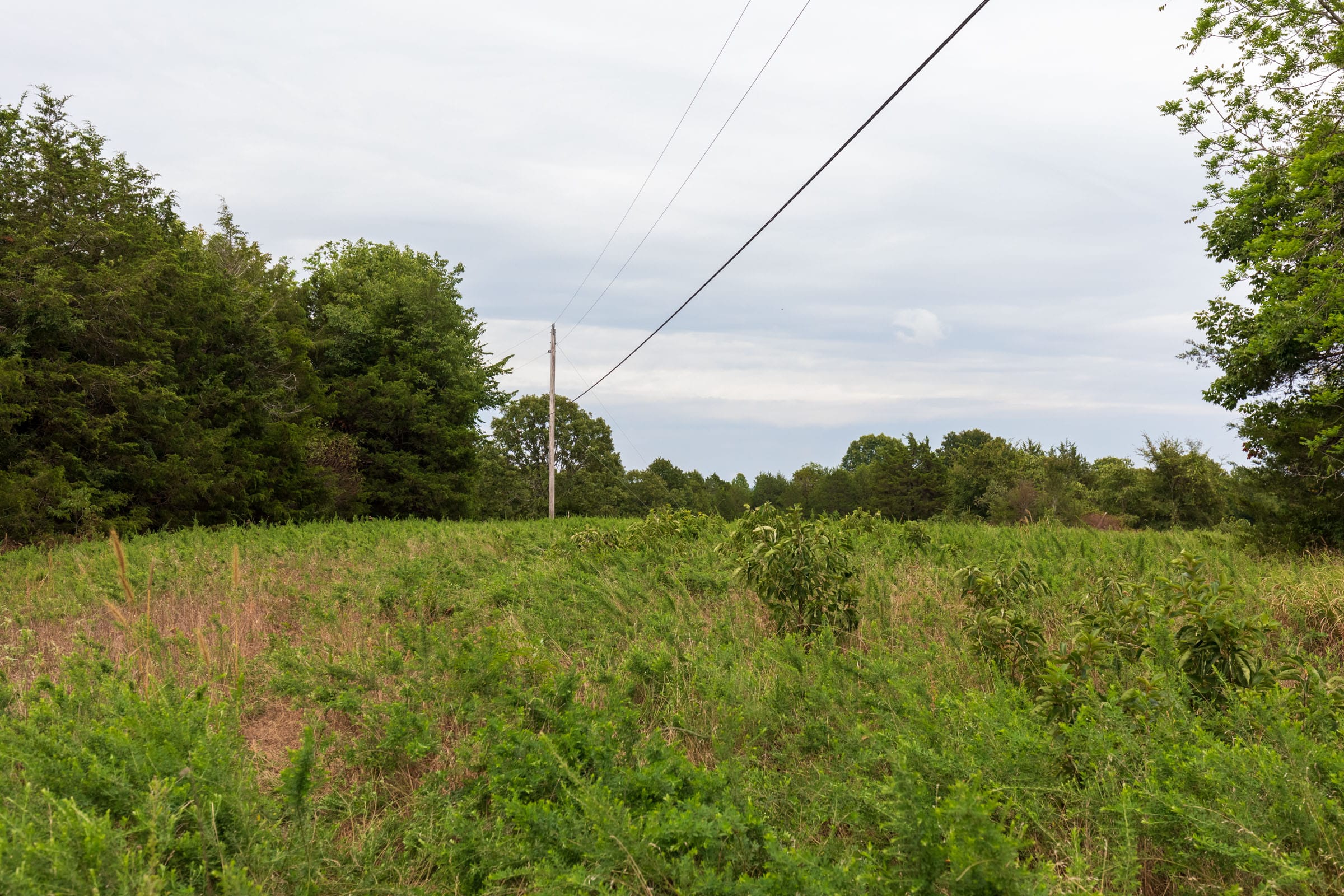 Heritage Bend Tract 9 photo 9