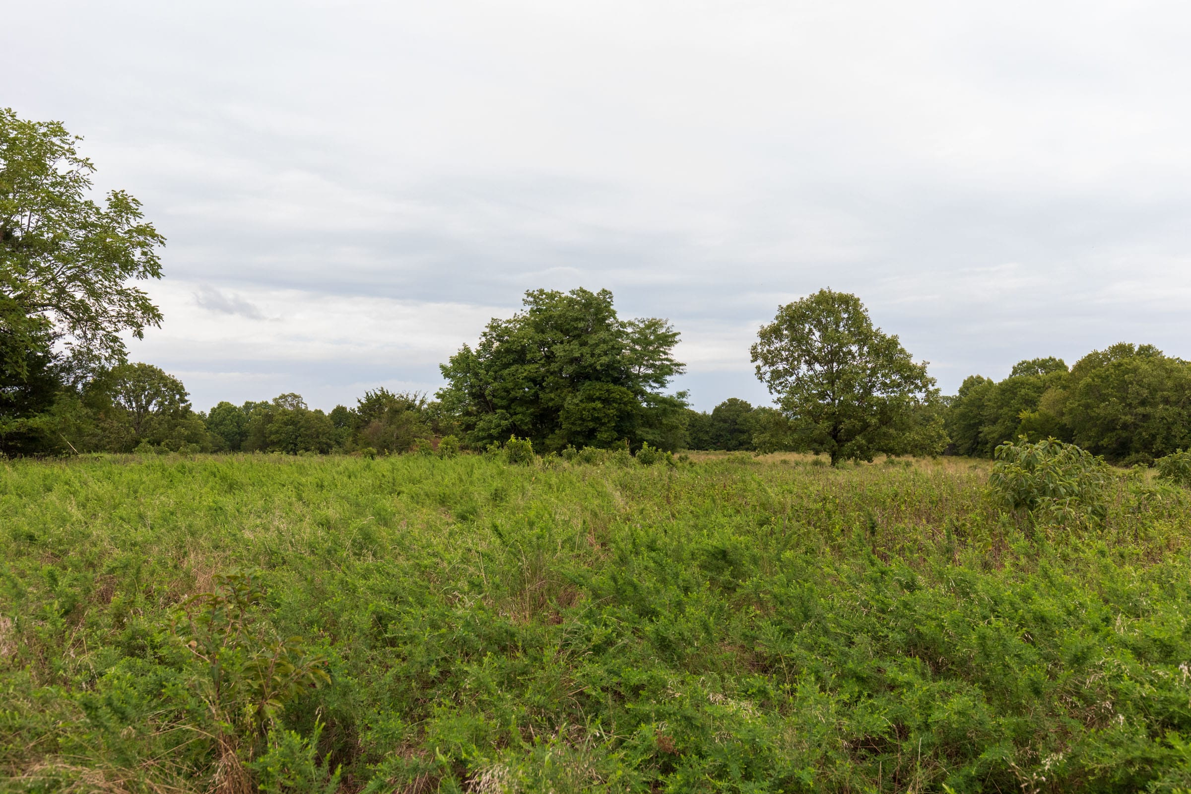 Heritage Bend Tract 9 photo 11