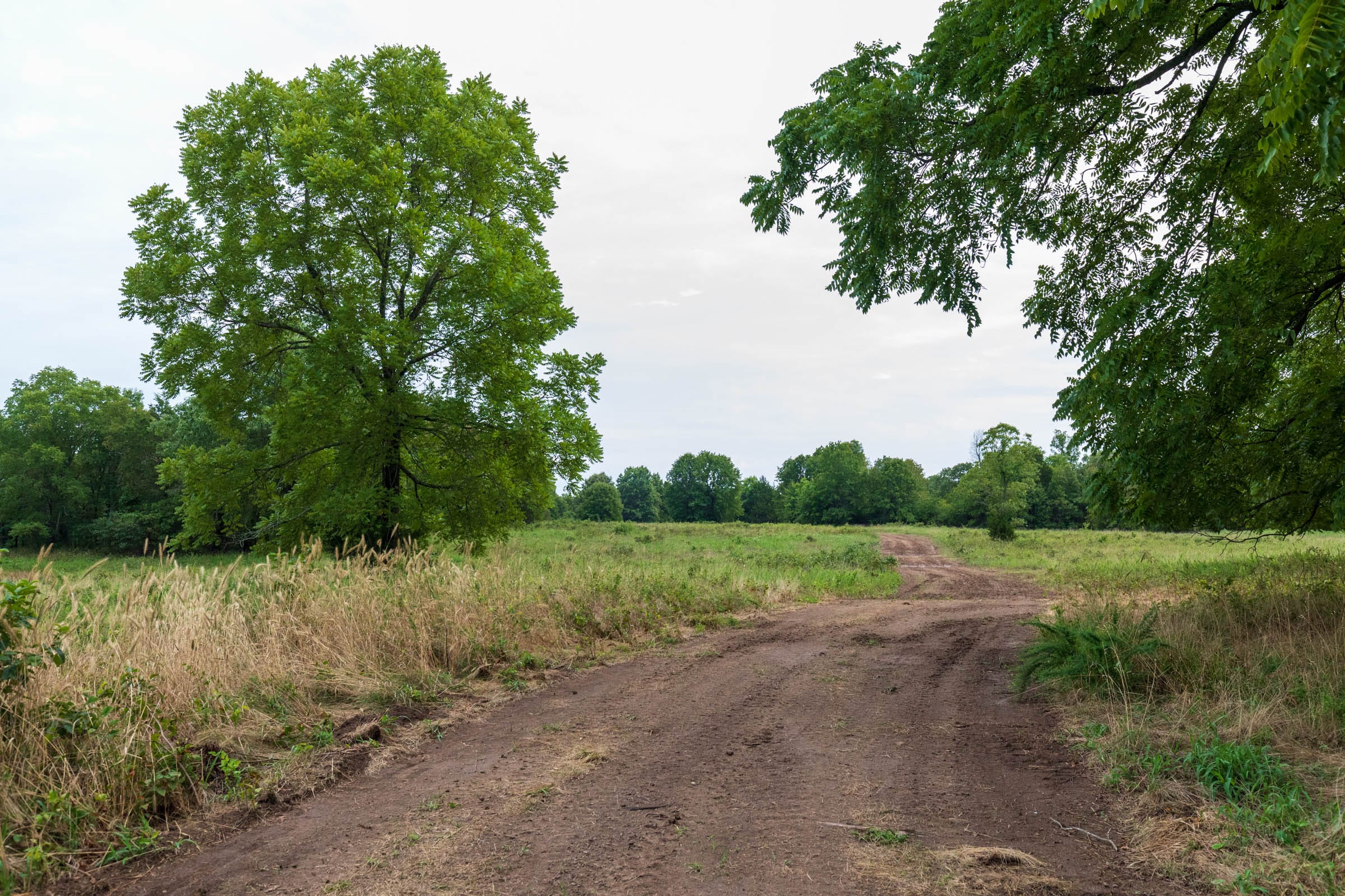Heritage Bend Tract 9 photo 12