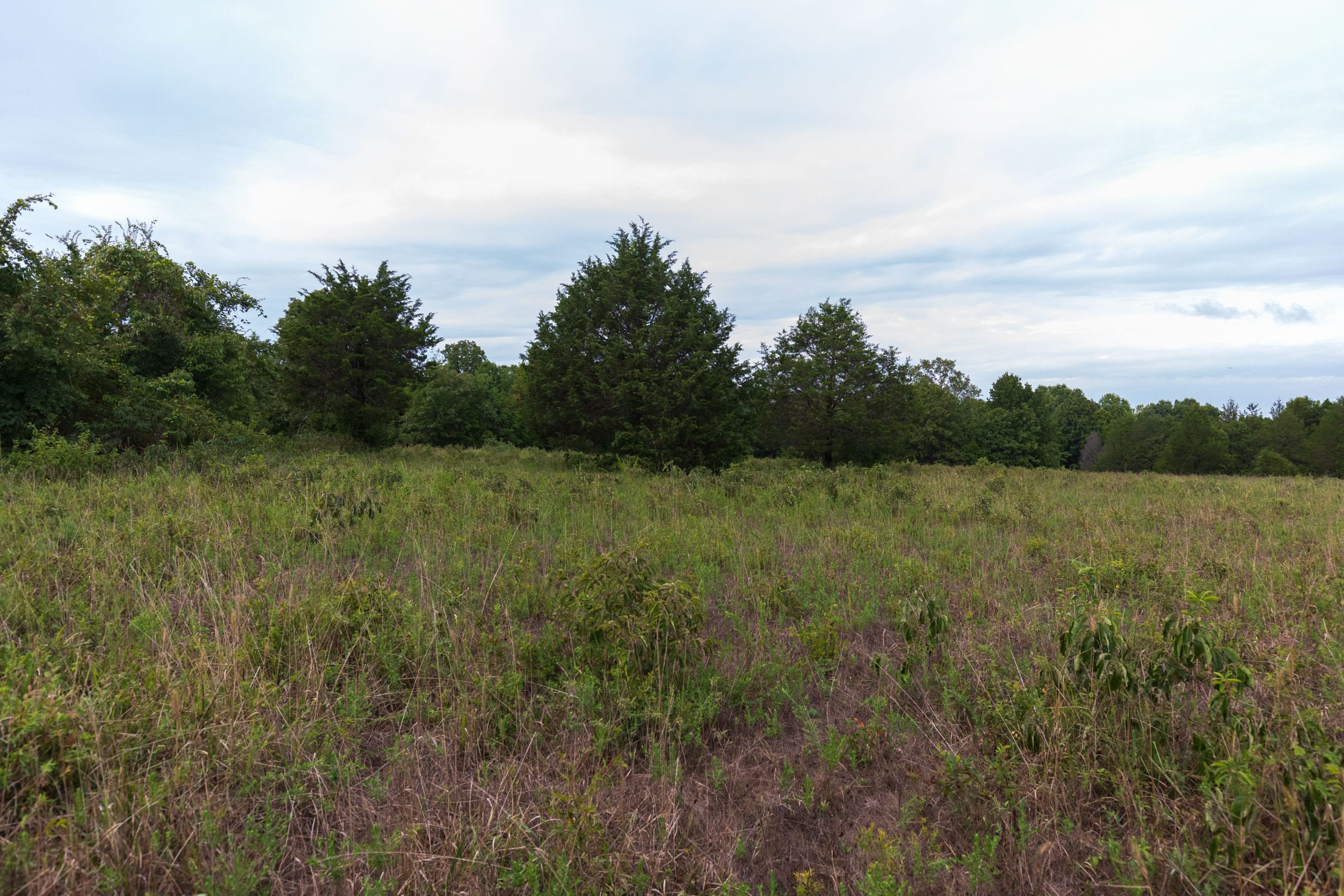 Heritage Bend Tract 9 photo 13