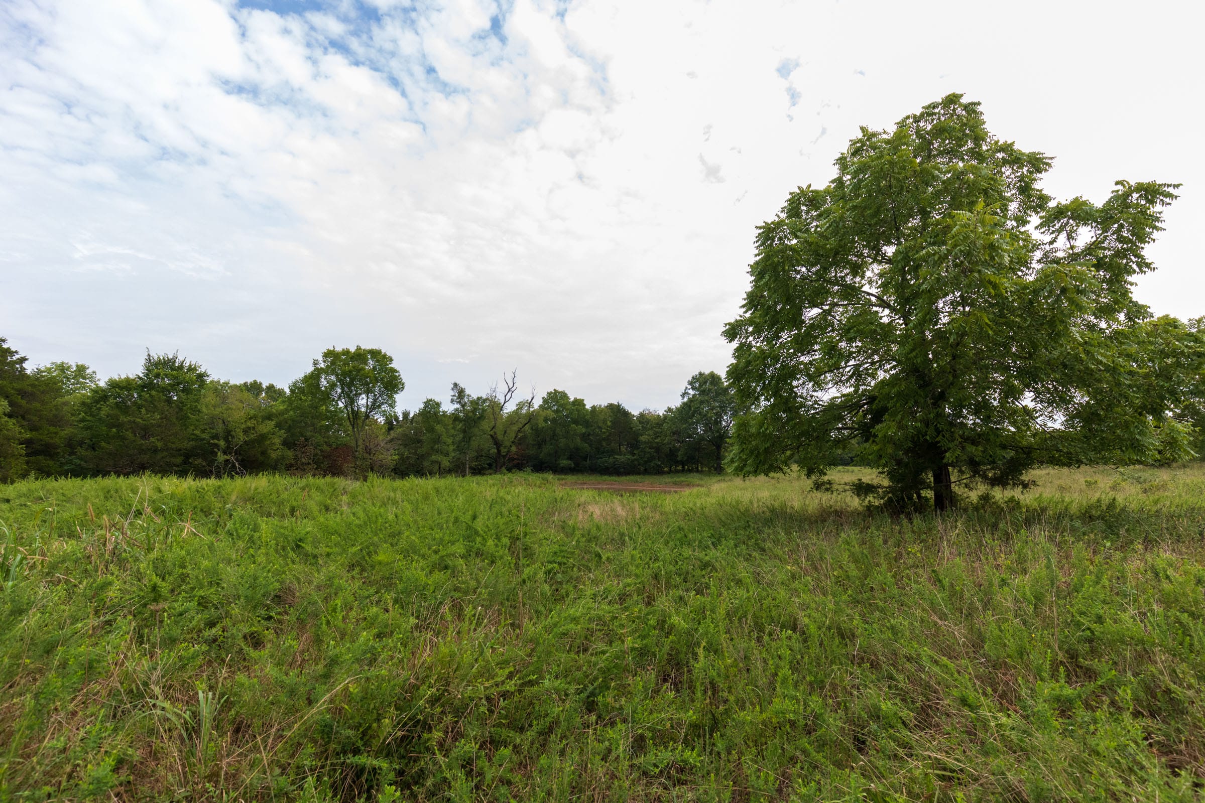 Heritage Bend Tract 9 photo 14