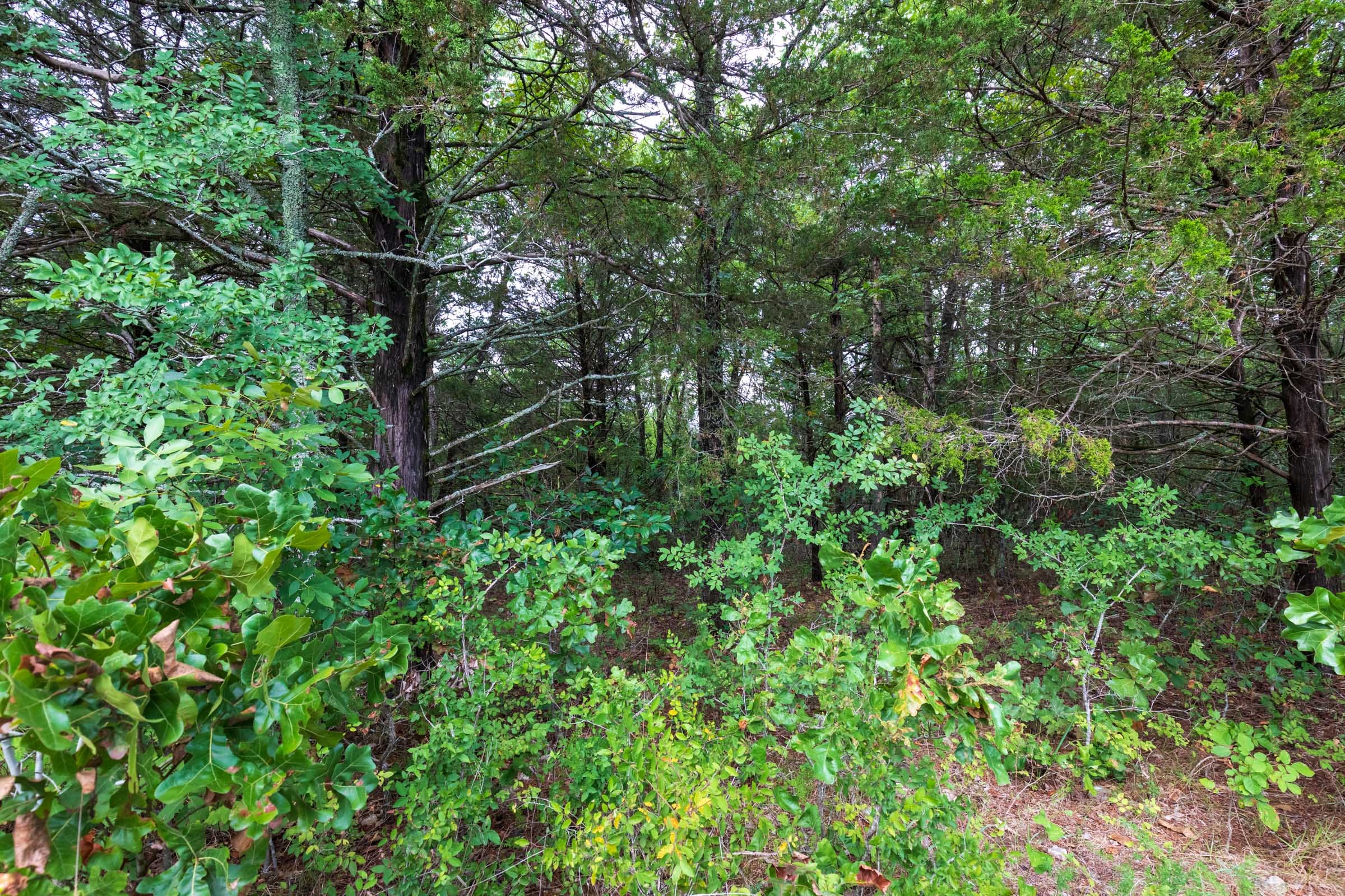 Heritage Bend Tract 9 photo 16