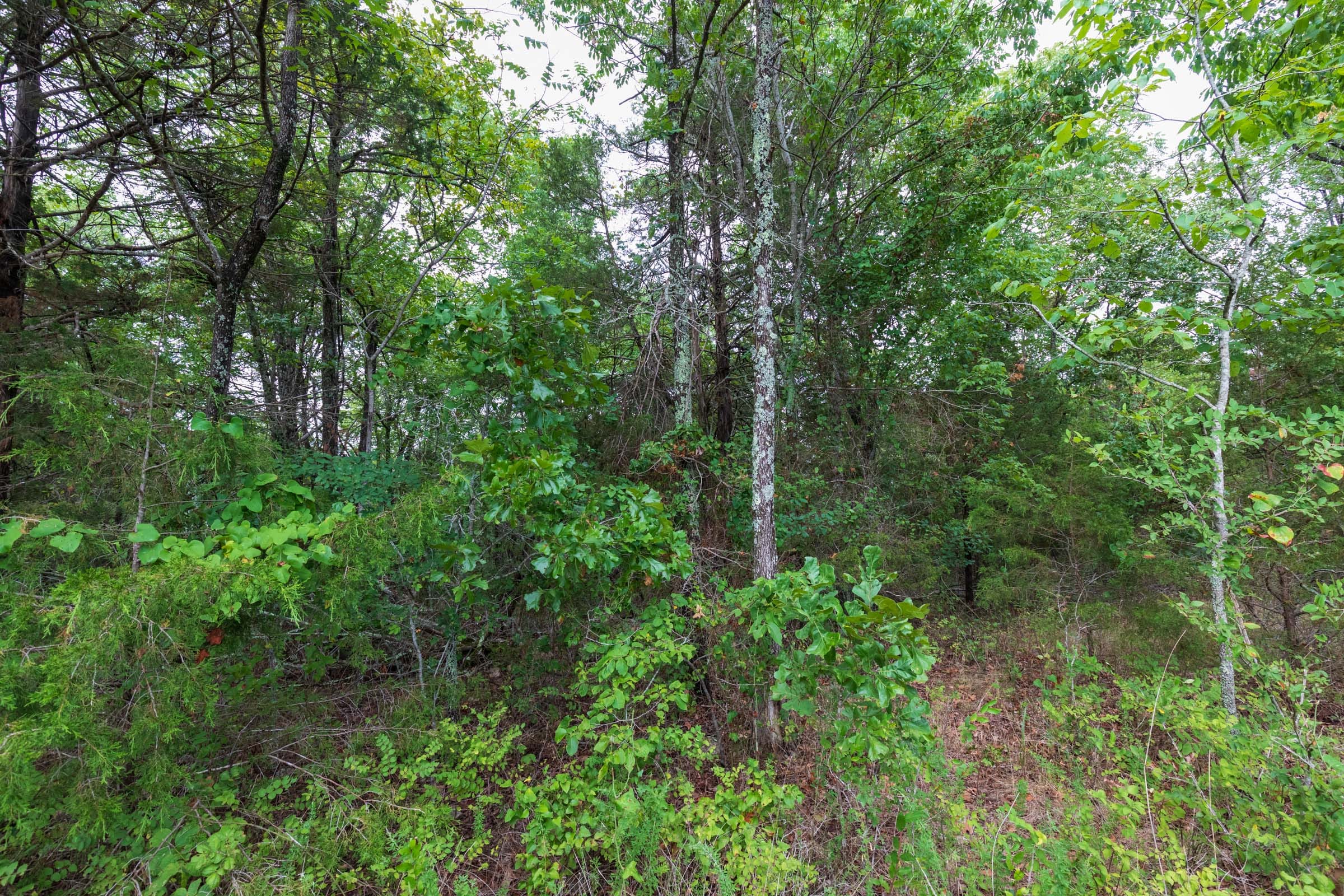 Heritage Bend Tract 9 photo 17