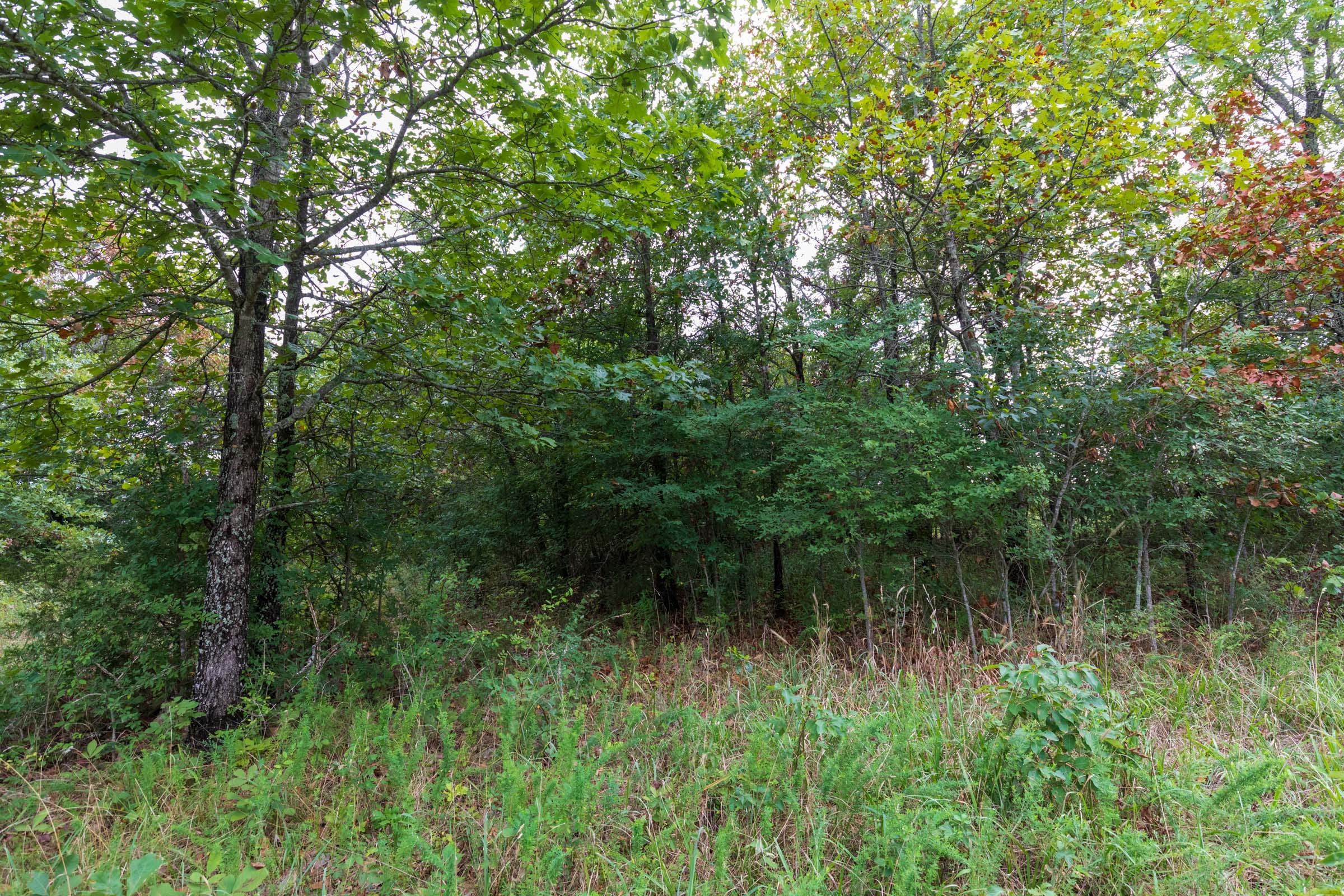 Heritage Bend Tract 9 photo 18