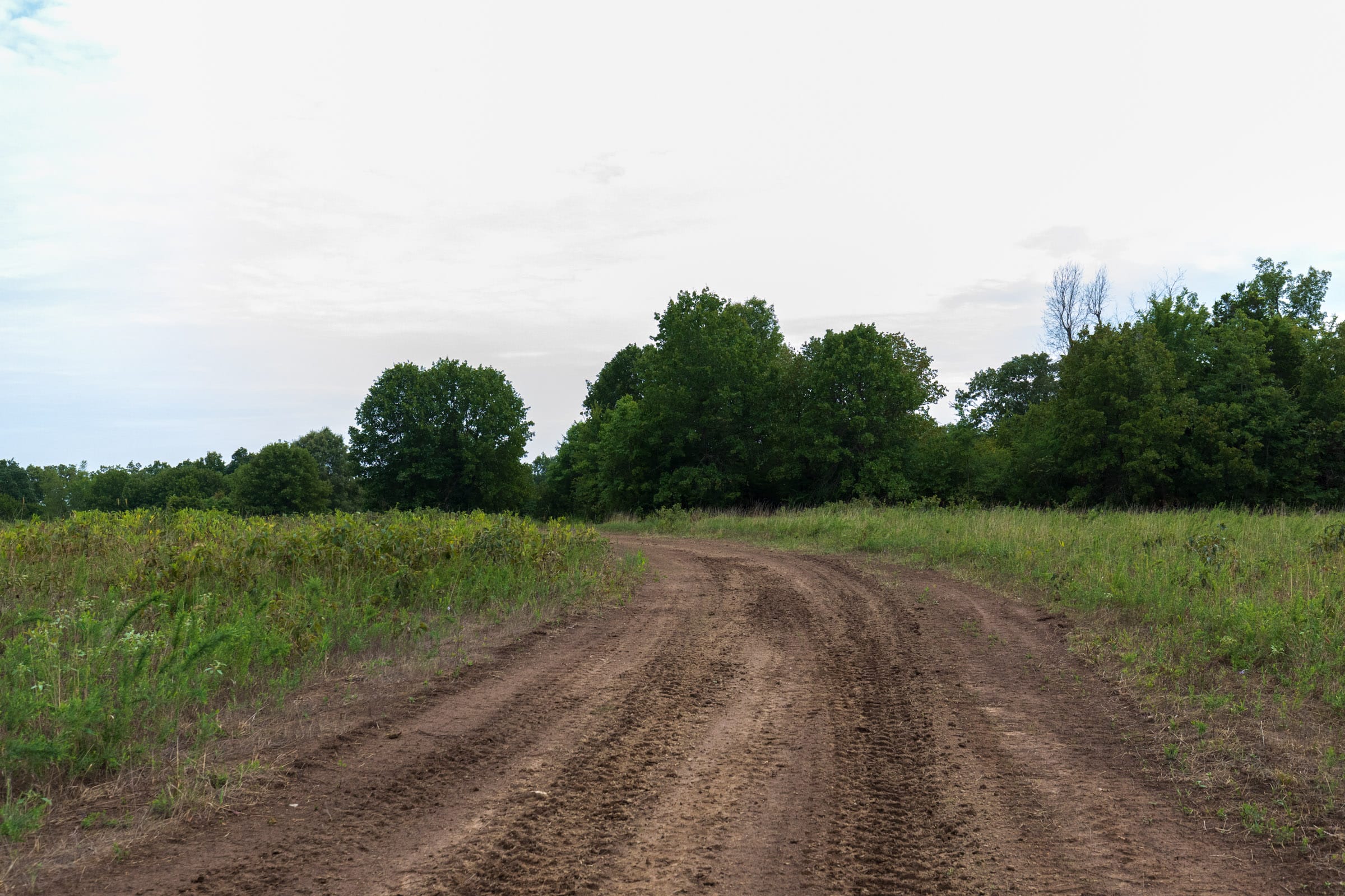 Heritage Bend Tract 9 photo 19