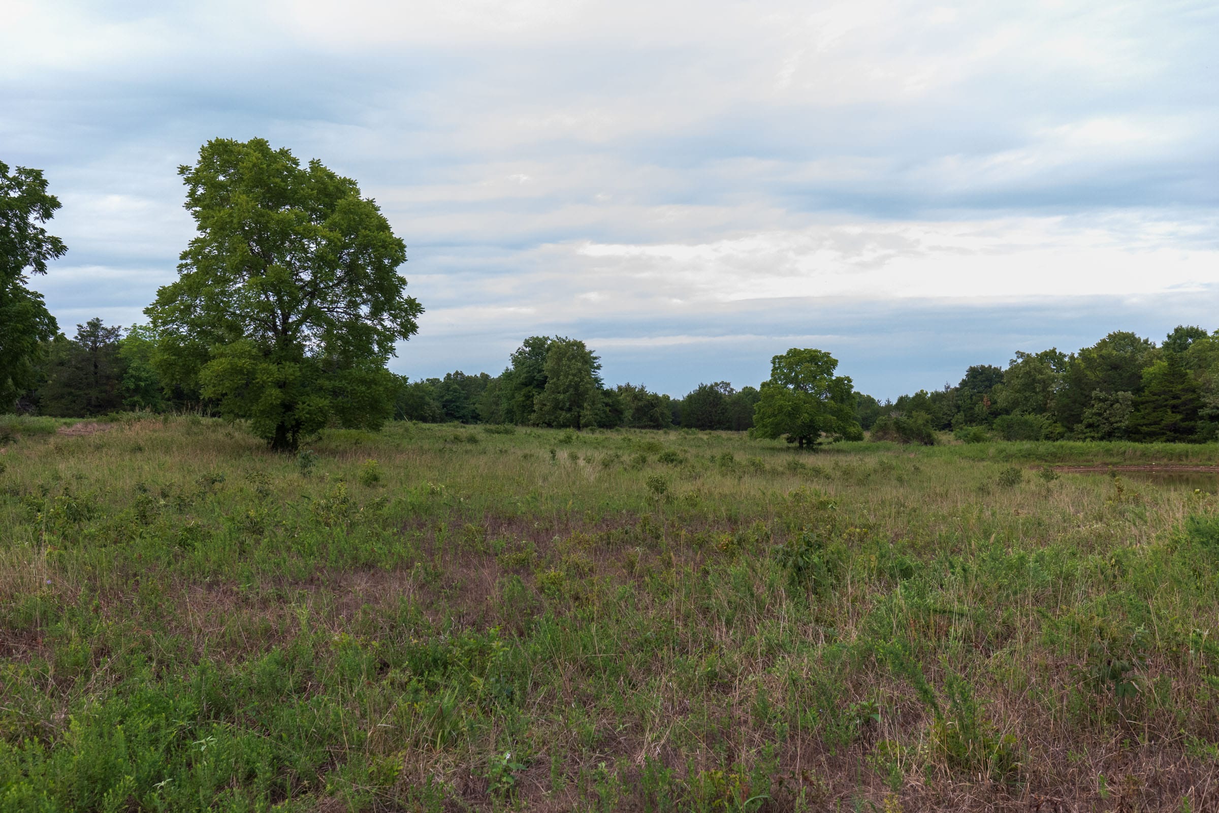 Heritage Bend Tract 9 photo 21
