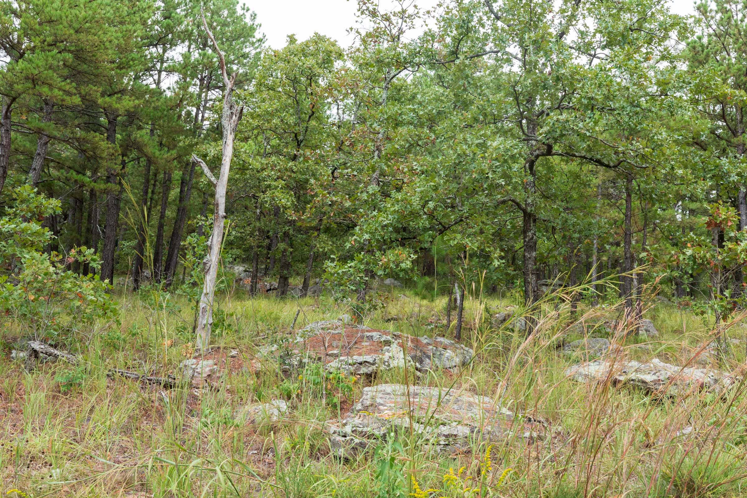 Stone Bridge Phase V Tract 358 photo 12