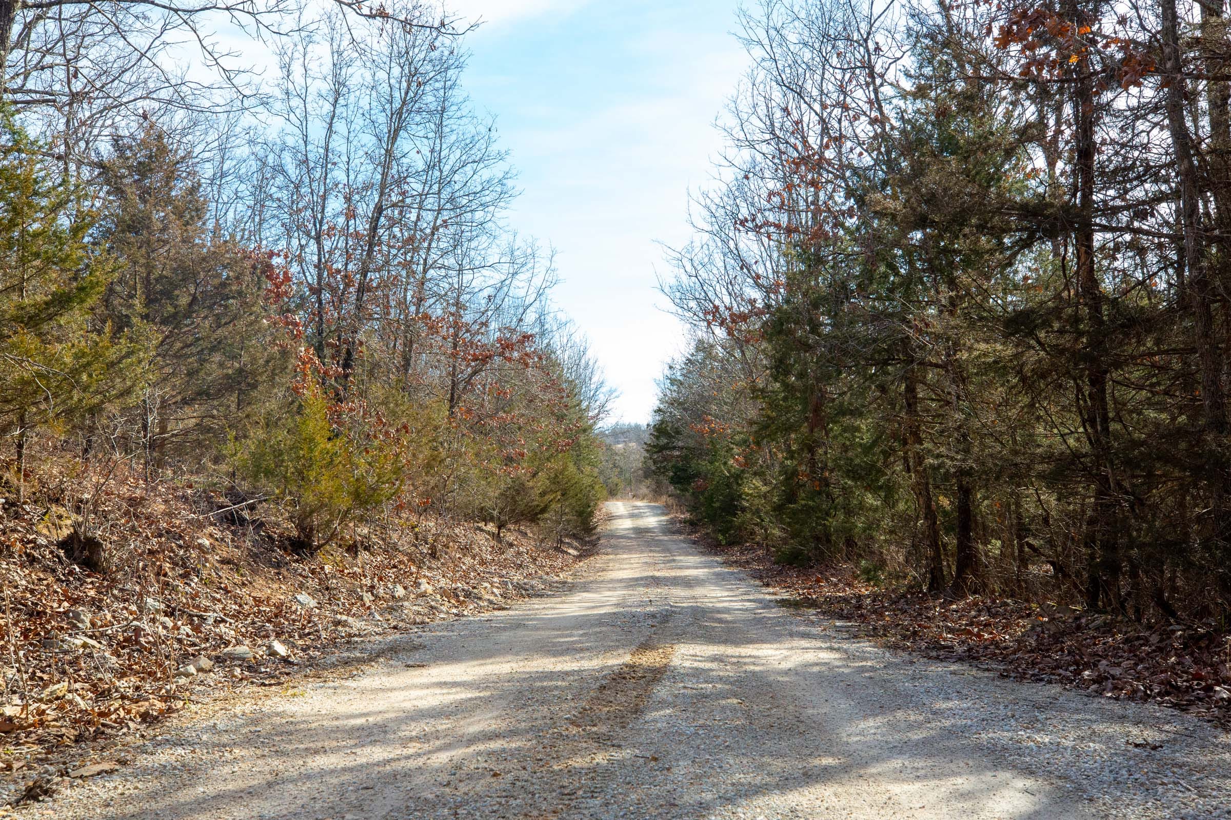 Forest Hill Tract 11 photo 1