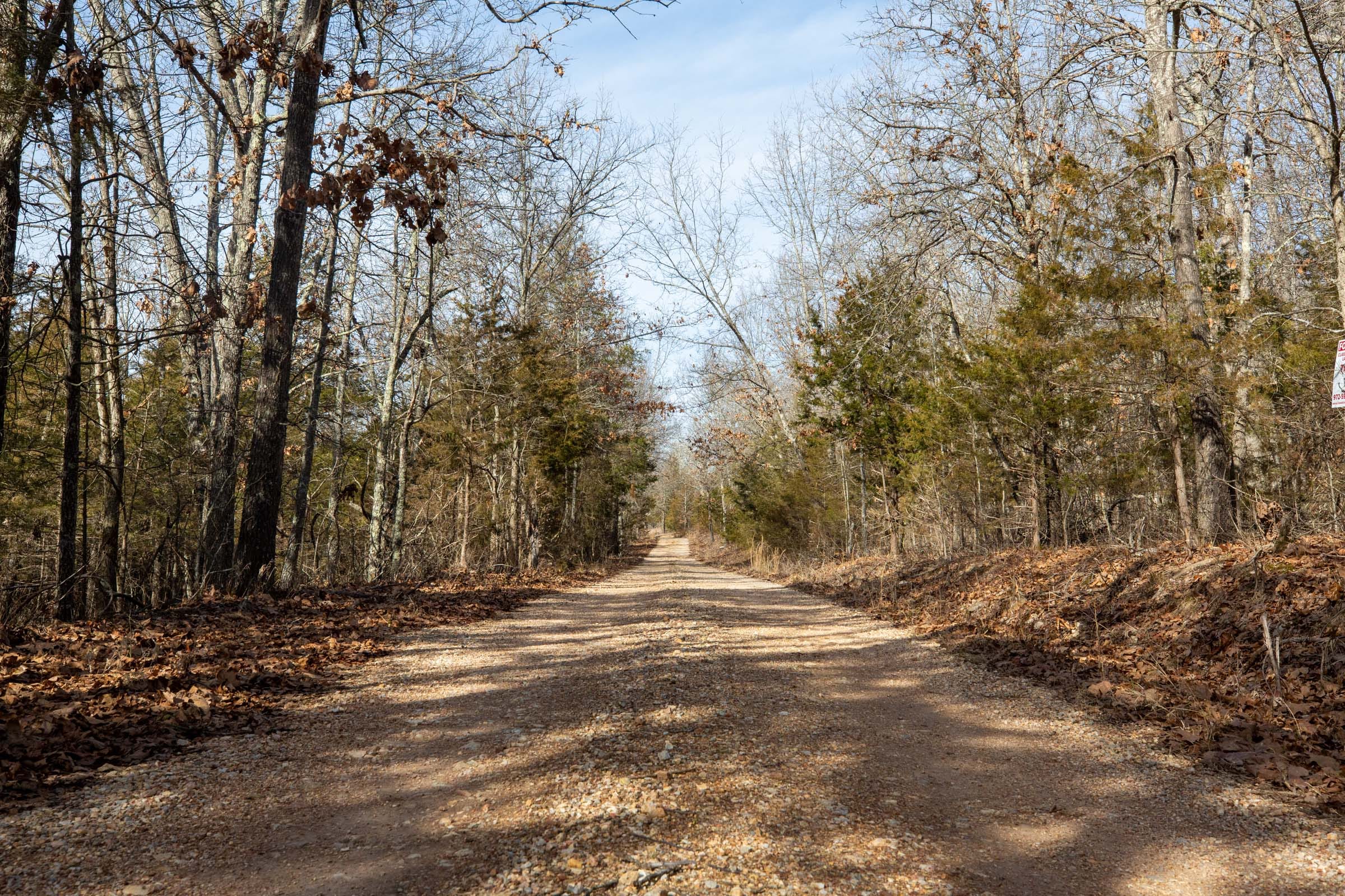 Forest Hill Tract 11 photo 7