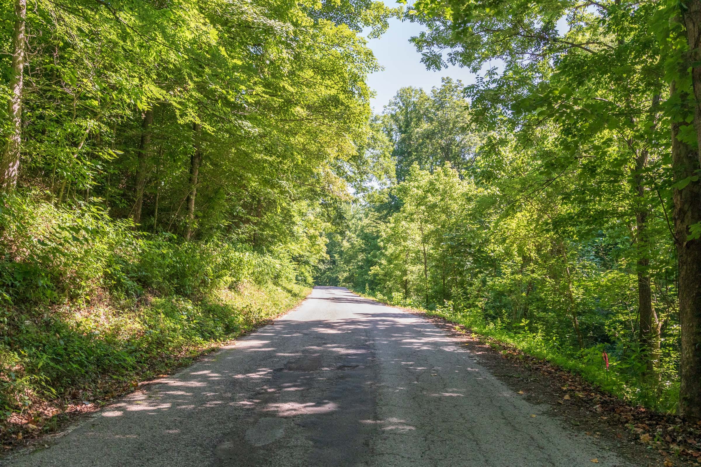 River’s Edge Tract 36 photo 4