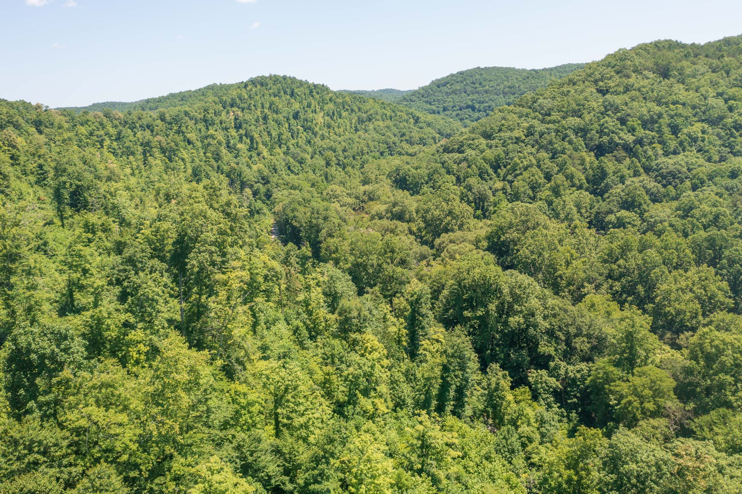 River’s Edge Tract 36 photo 8