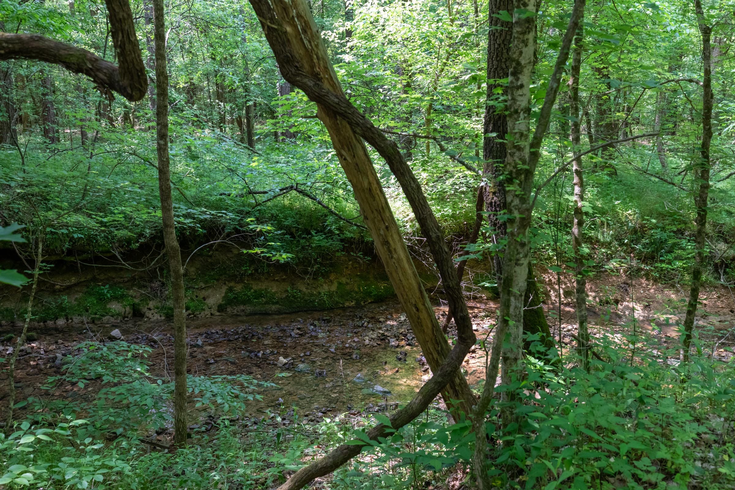 Cedar Creek Tract 43 photo 6