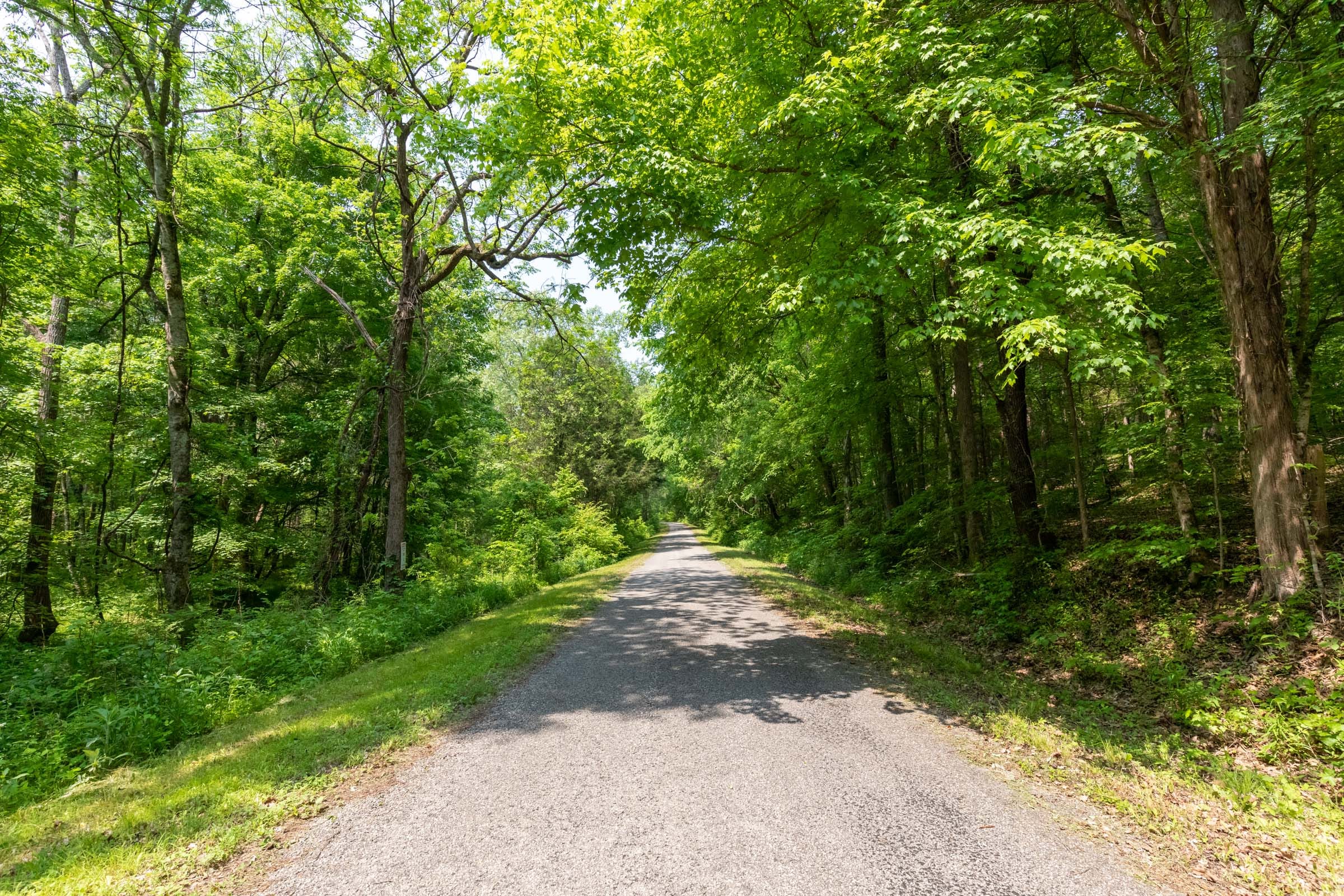 Cedar Creek Tract 43 photo 1