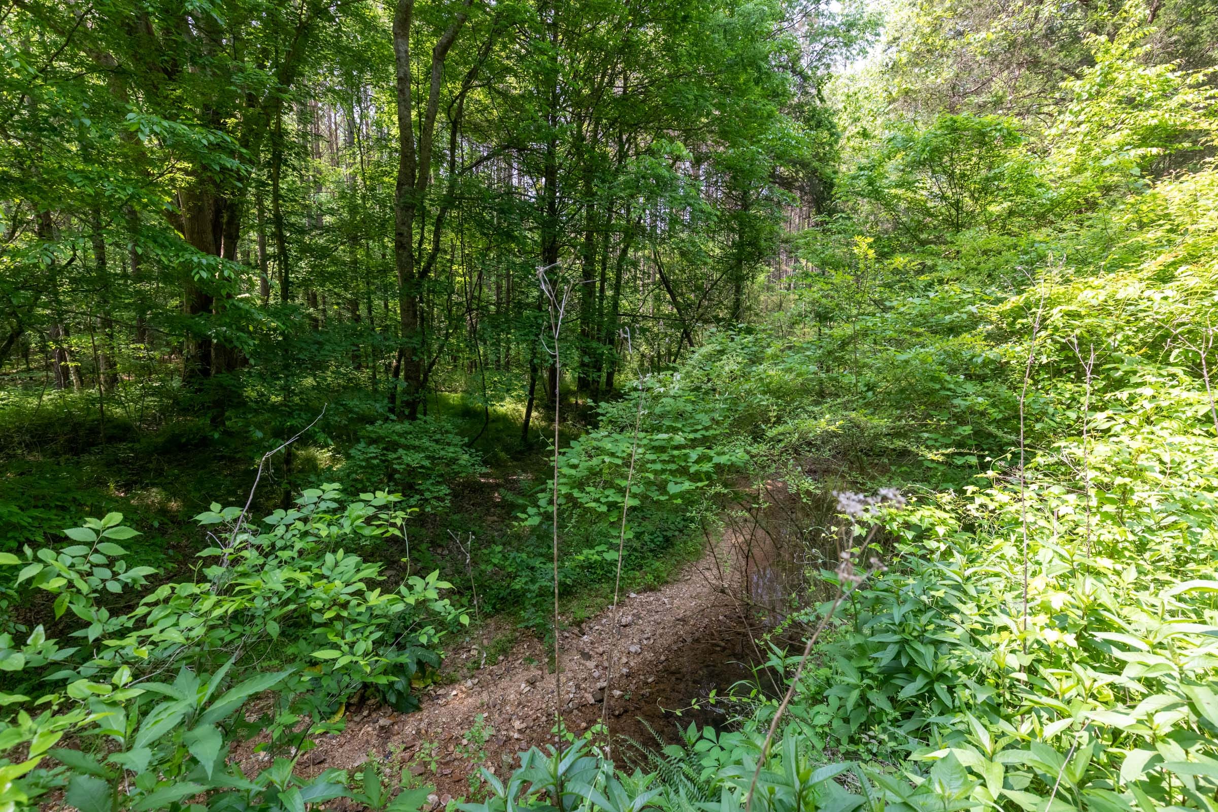 Cedar Creek Tract 43 photo 10