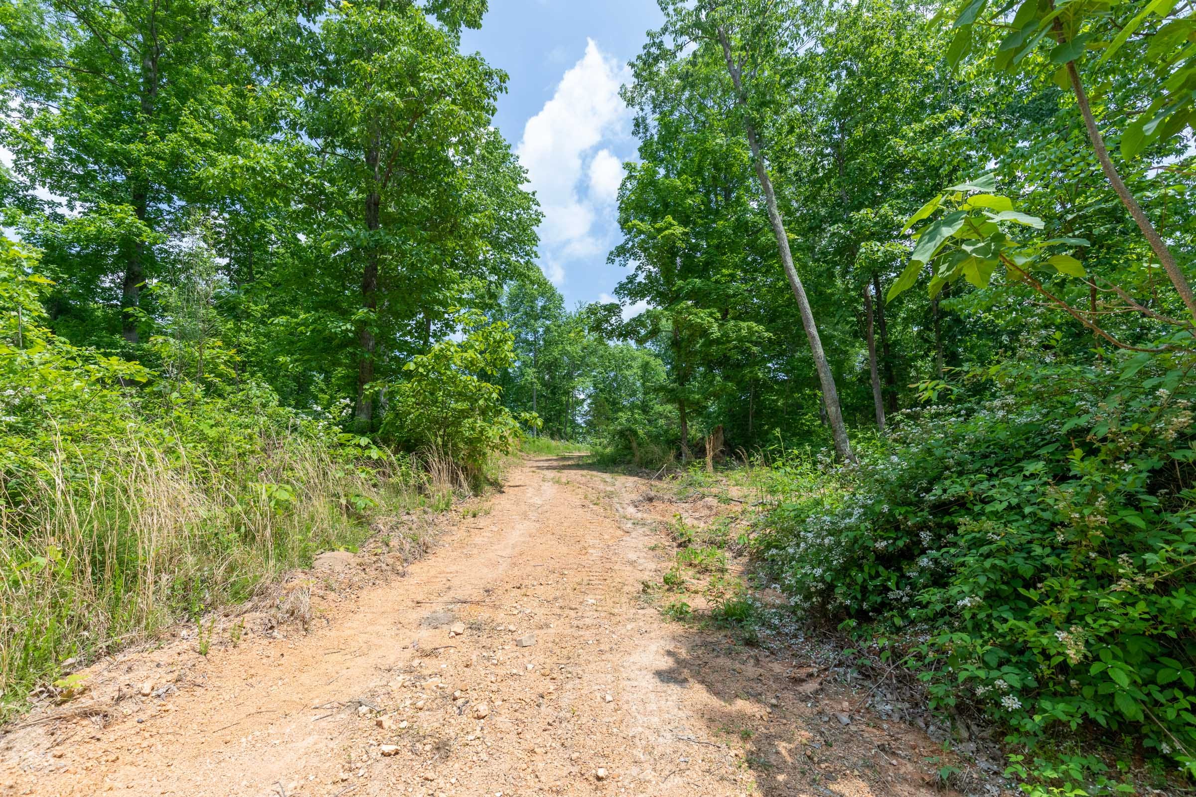 Cedar Creek Tract 43 photo 8
