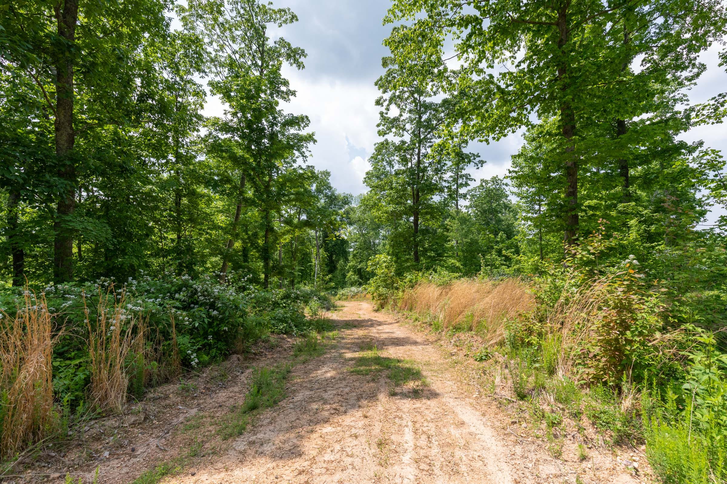 Cedar Creek Tract 43 photo 14