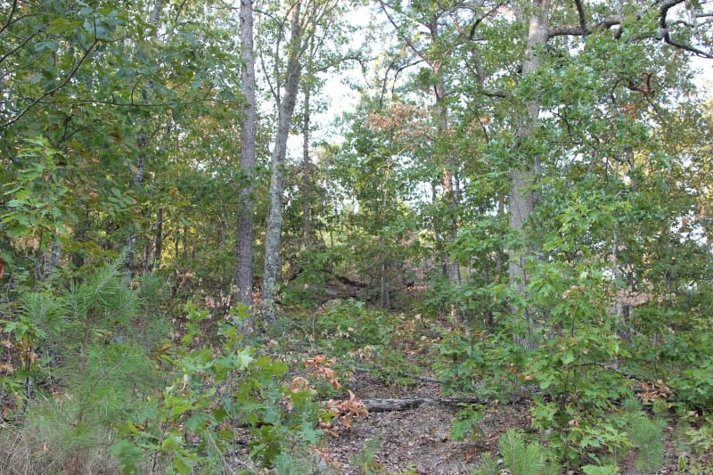 Lake View Ranch Tract 38 photo 2