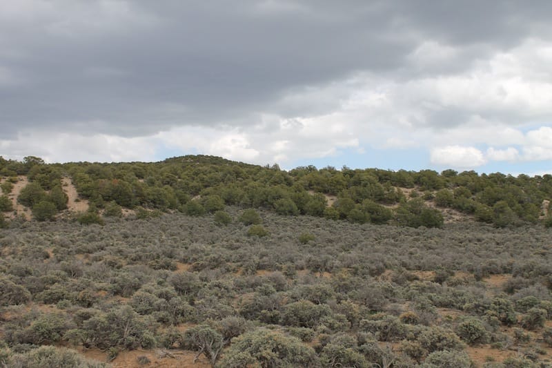 Eagle Ridge Ranch Tract 73 photo 2