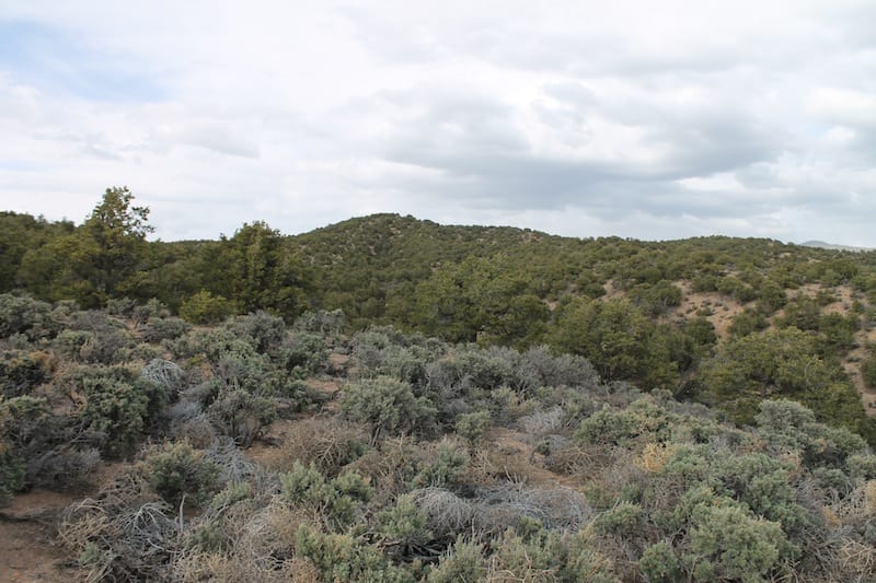 Eagle Ridge Ranch Tract 73 photo 10