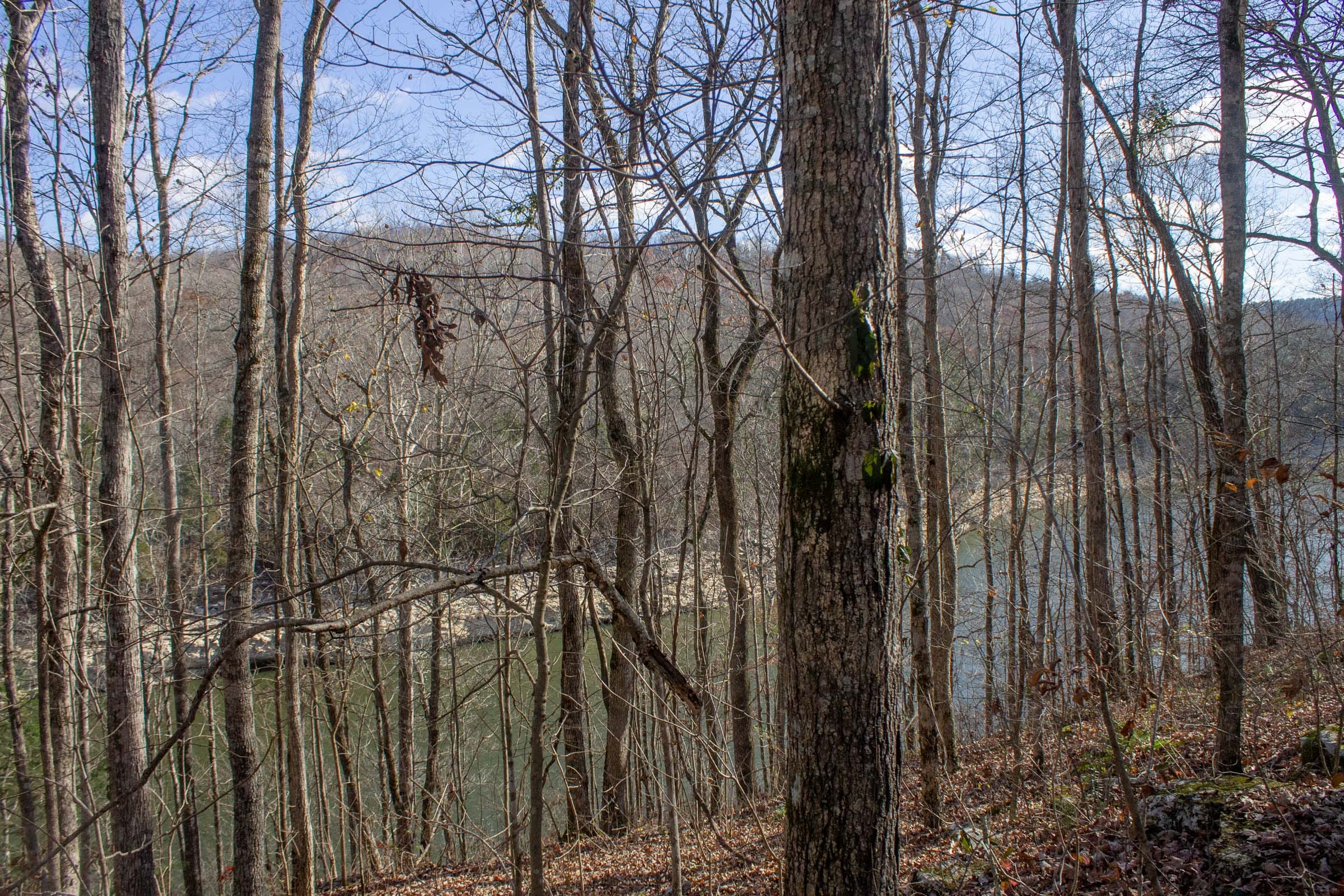 The Cliffs Tract 11 photo 3