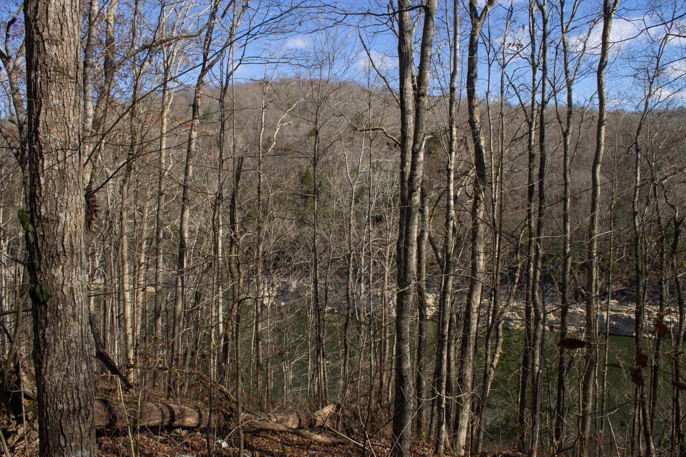 The Cliffs Tract 11 photo 4