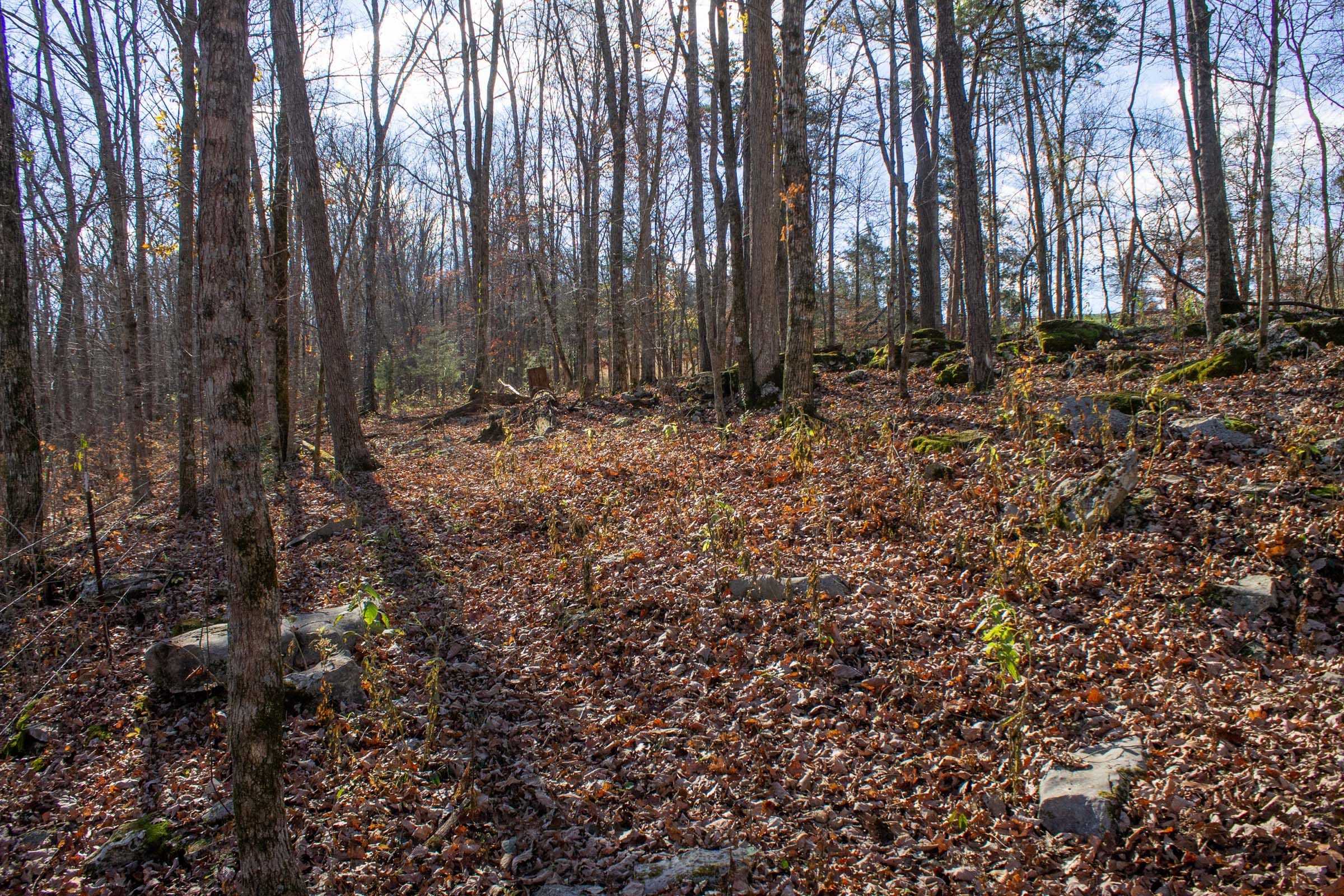 The Cliffs Tract 11 photo 6