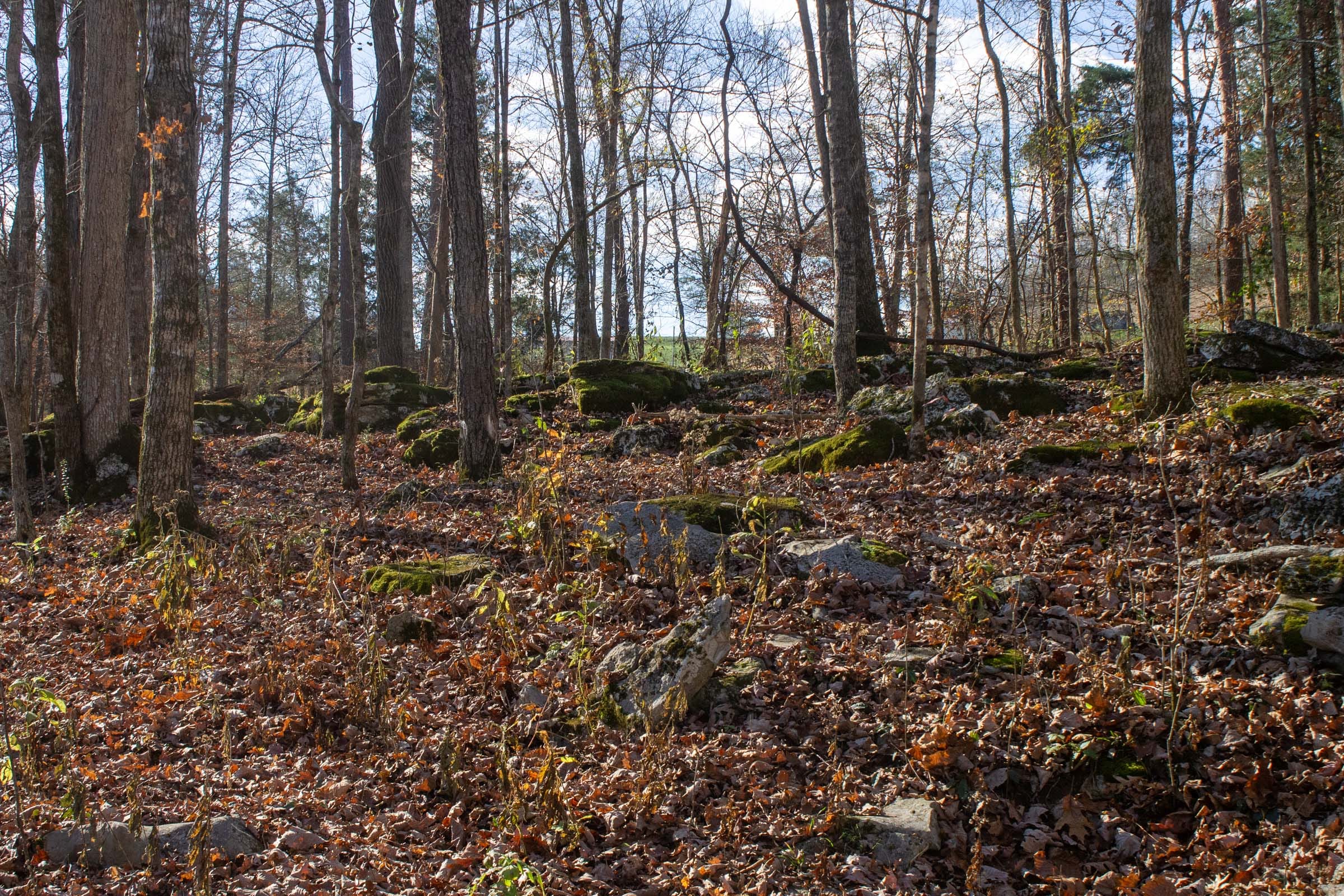 The Cliffs Tract 11 photo 7