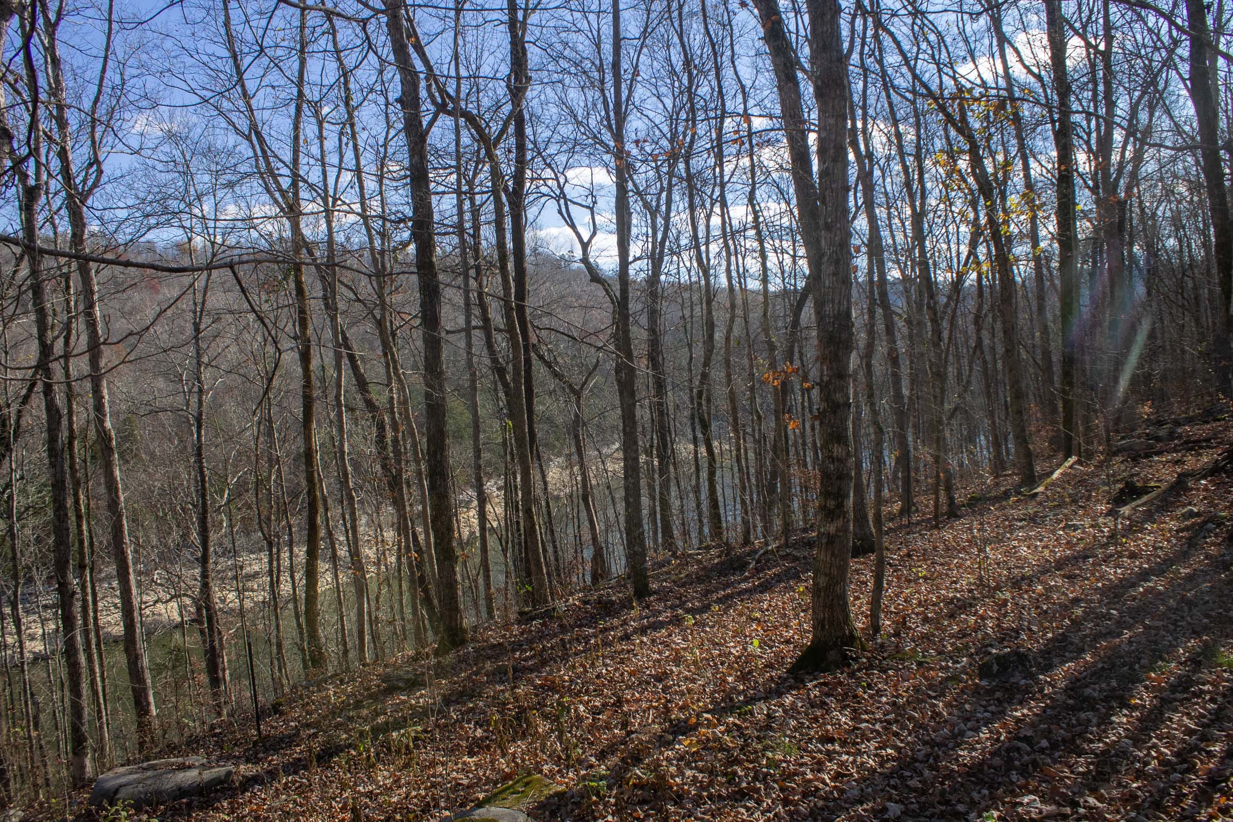 The Cliffs Tract 11 photo 8