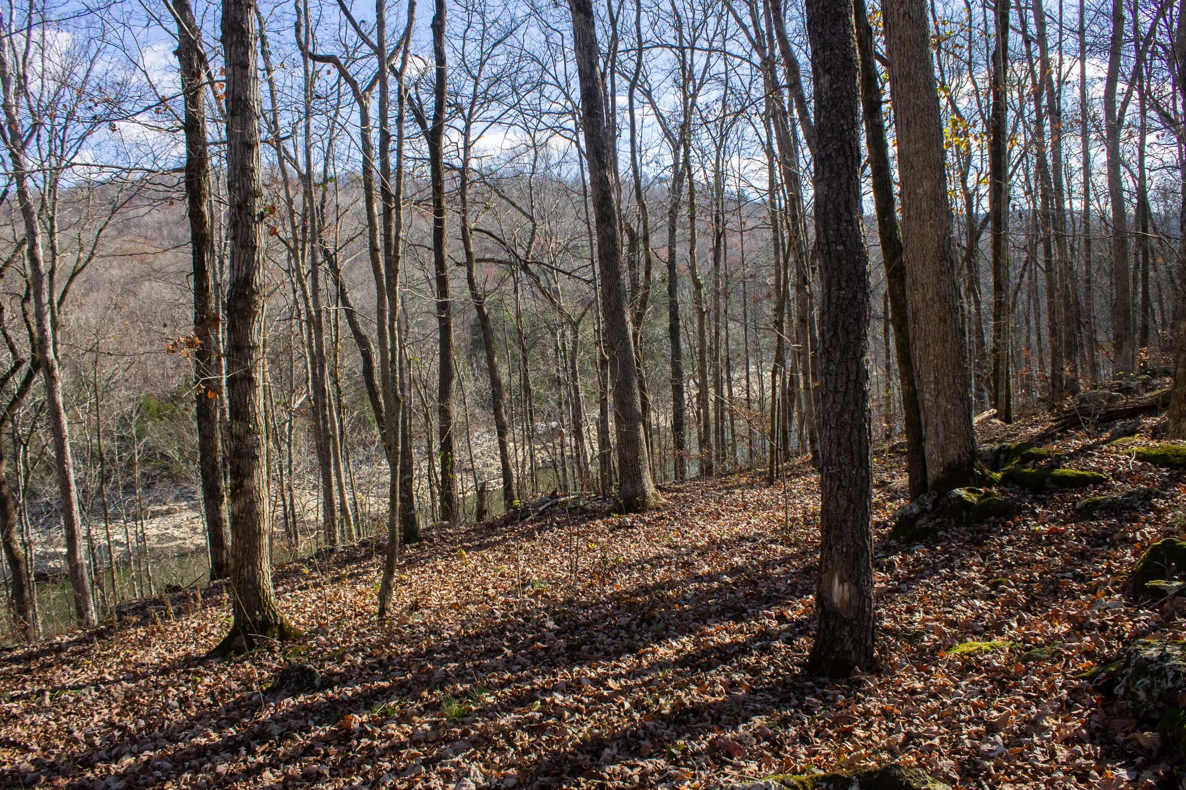 The Cliffs Tract 11 photo 9