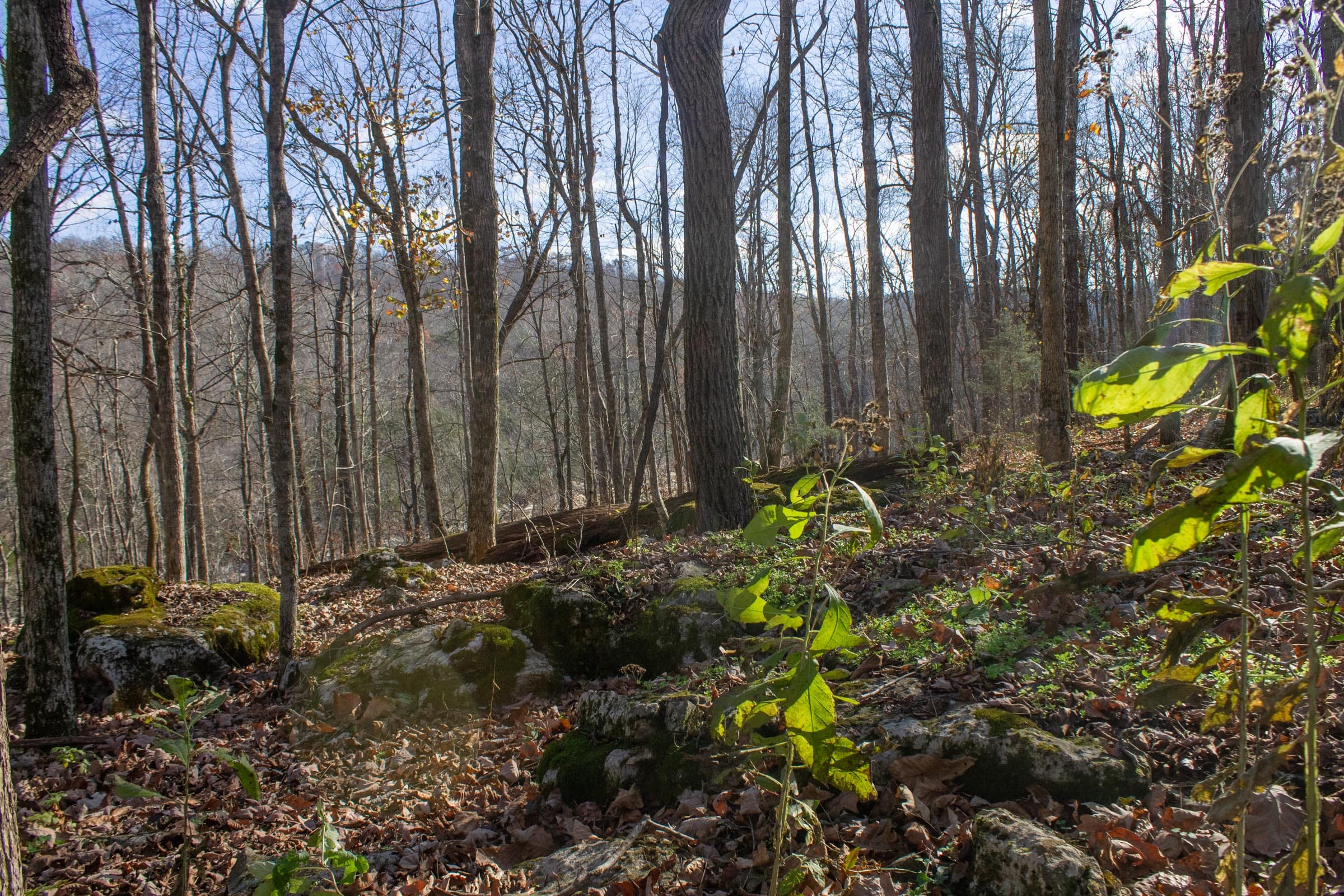 The Cliffs Tract 11 photo 10