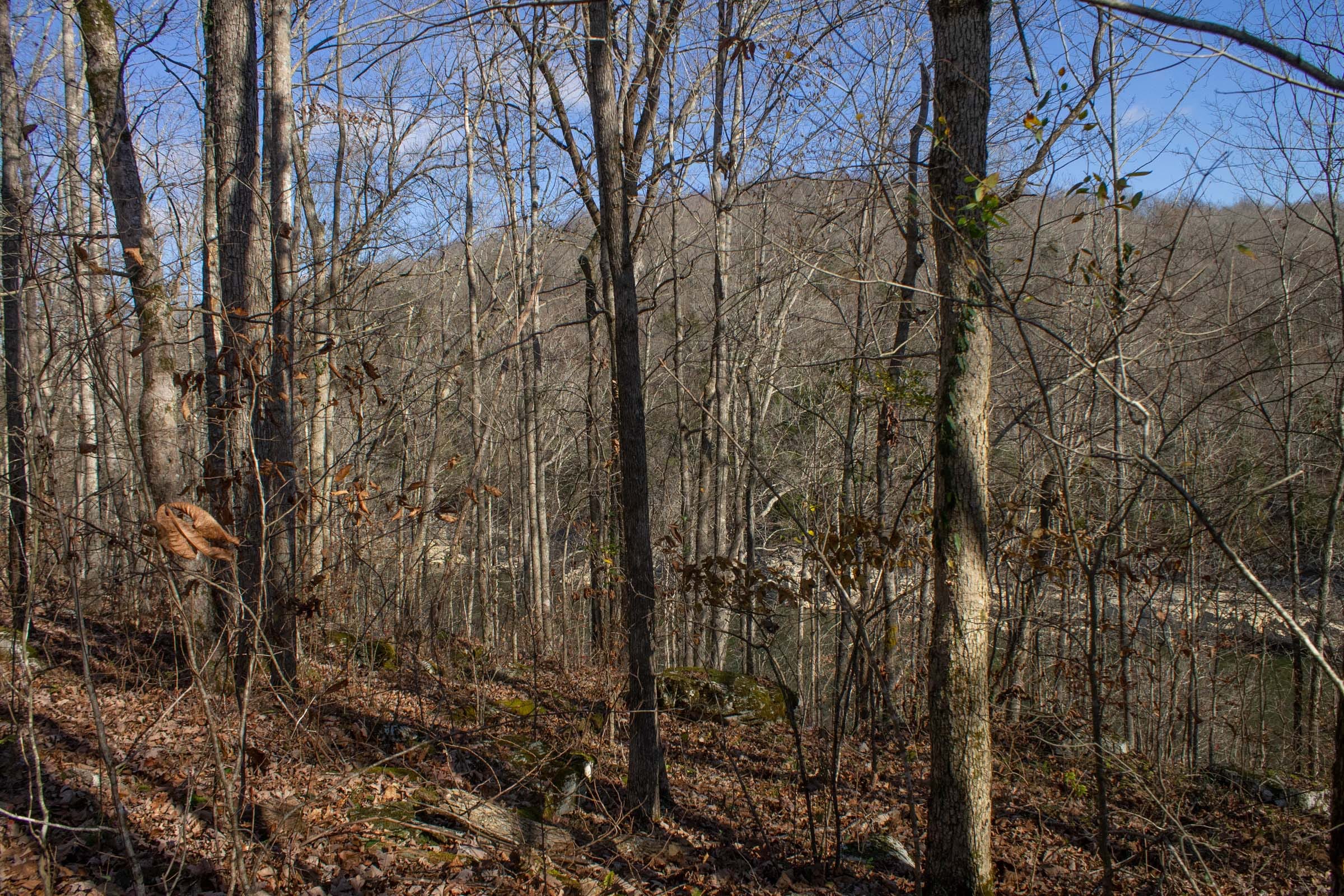 The Cliffs Tract 11 photo 11