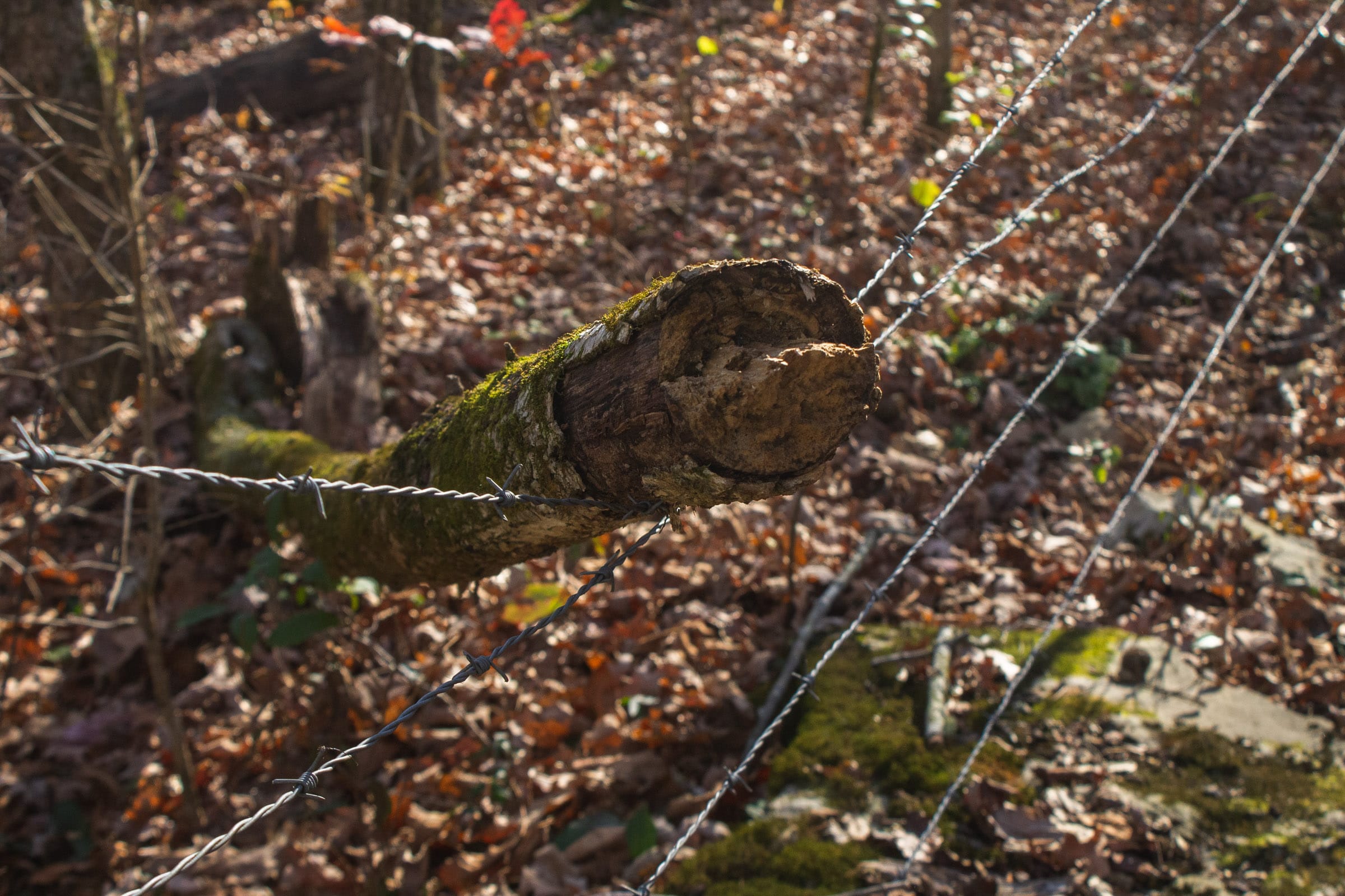 The Cliffs Tract 11 photo 13