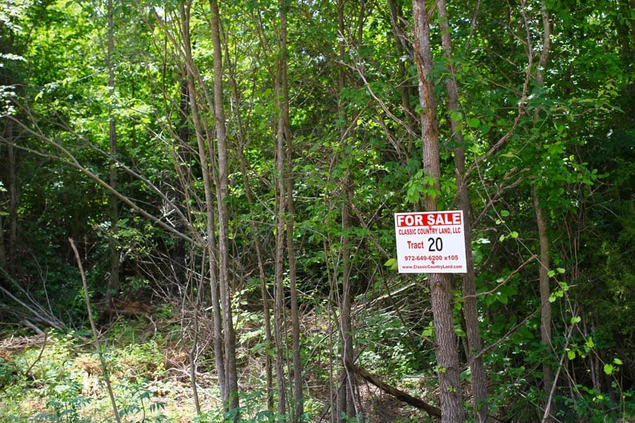 Bluebird Ranch Tract 20 photo 1