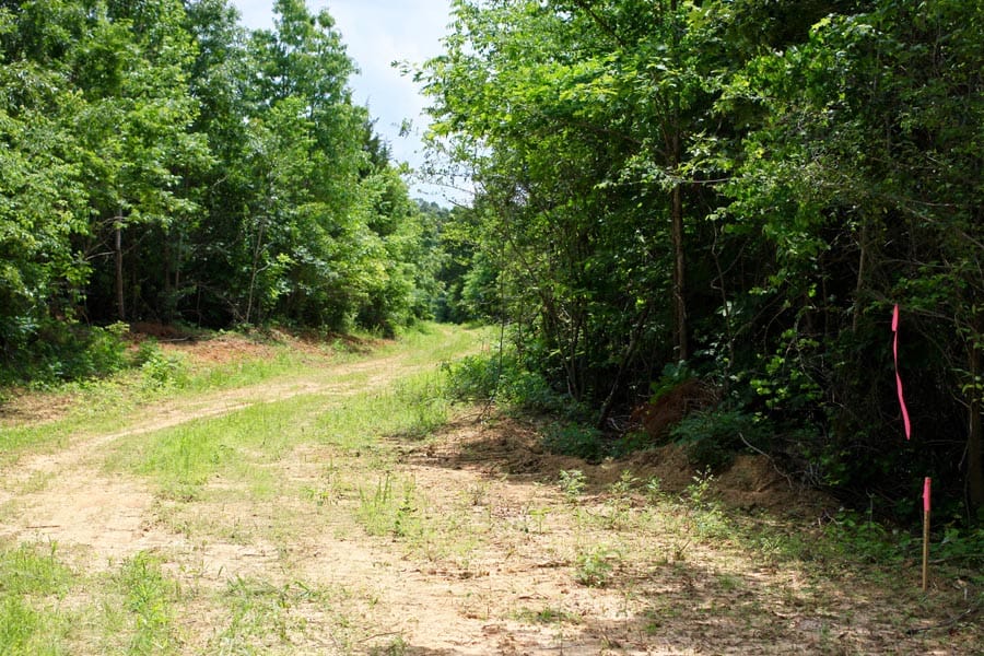 Bluebird Ranch Tract 20 photo 2
