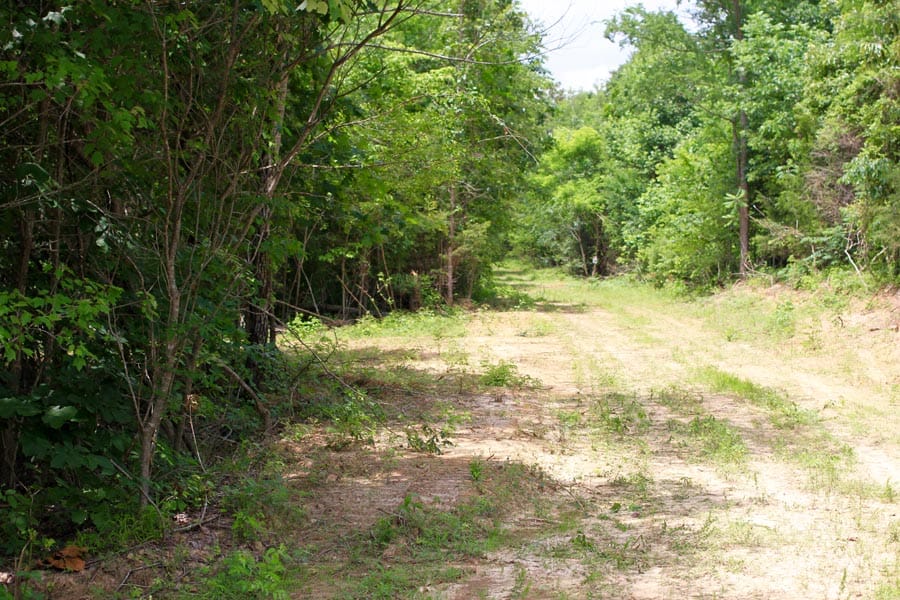 Bluebird Ranch Tract 20 photo 6