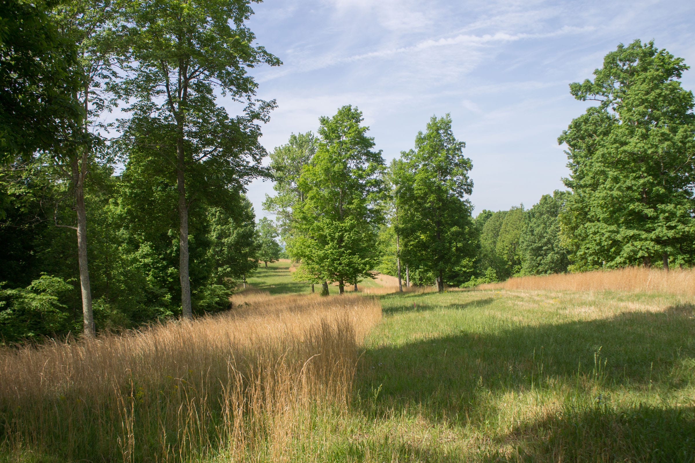 Laurel Ridge Tract 6 photo 2