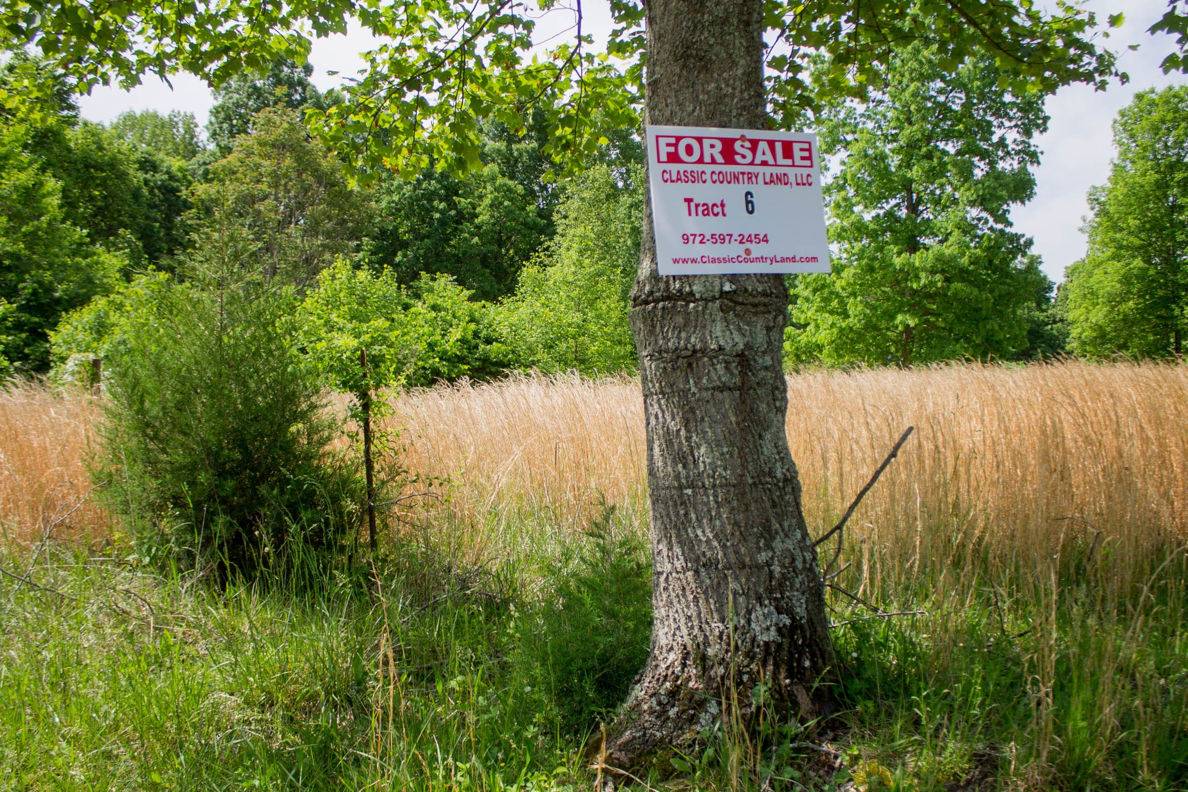 Laurel Ridge Tract 6 photo 1