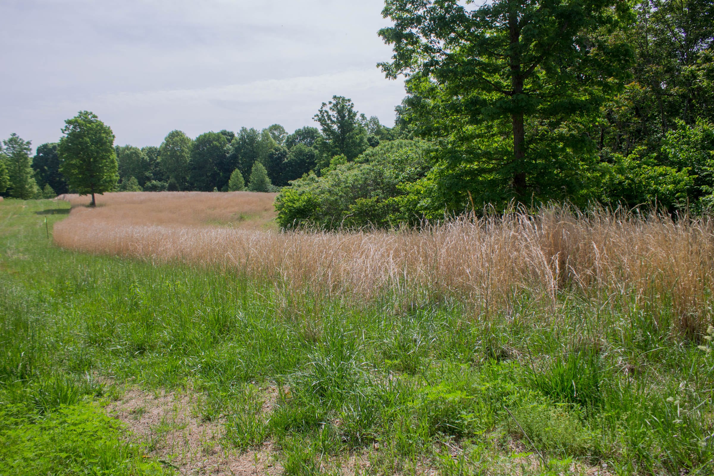Laurel Ridge Tract 6 photo 5