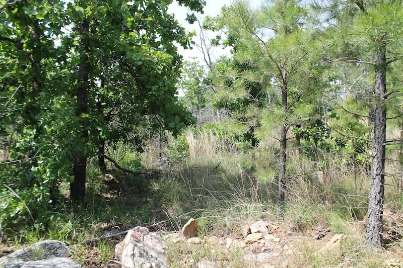 Indian Ridge – Phase II Tract 47 photo 7