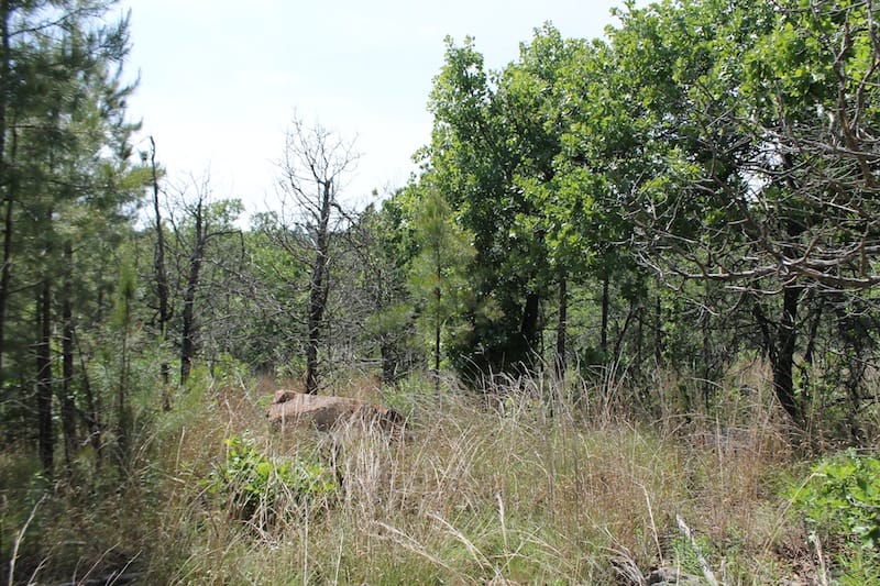 Indian Ridge – Phase II Tract 47 photo 8
