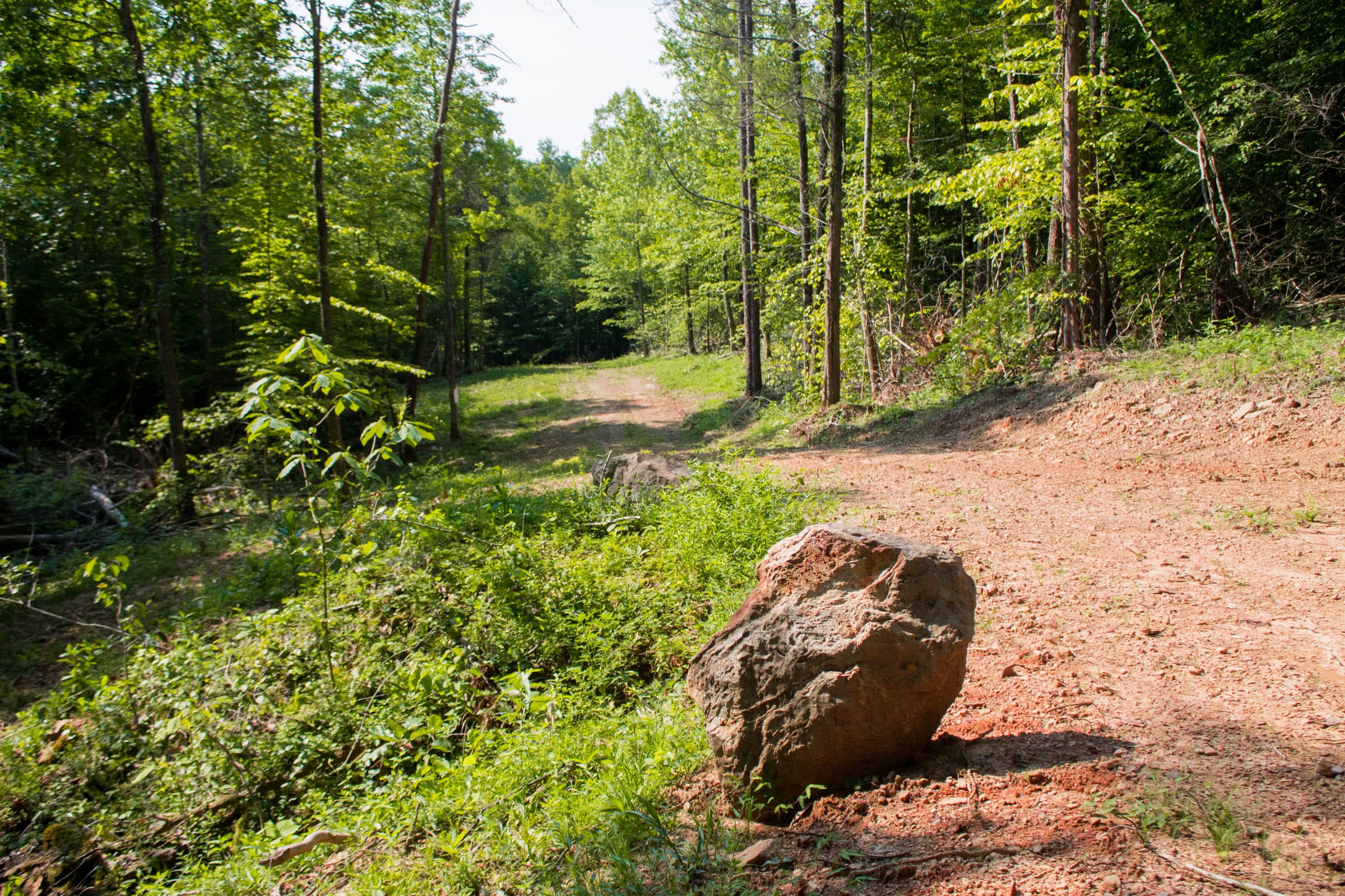 Bluewater Ridge Tract 22 photo 10