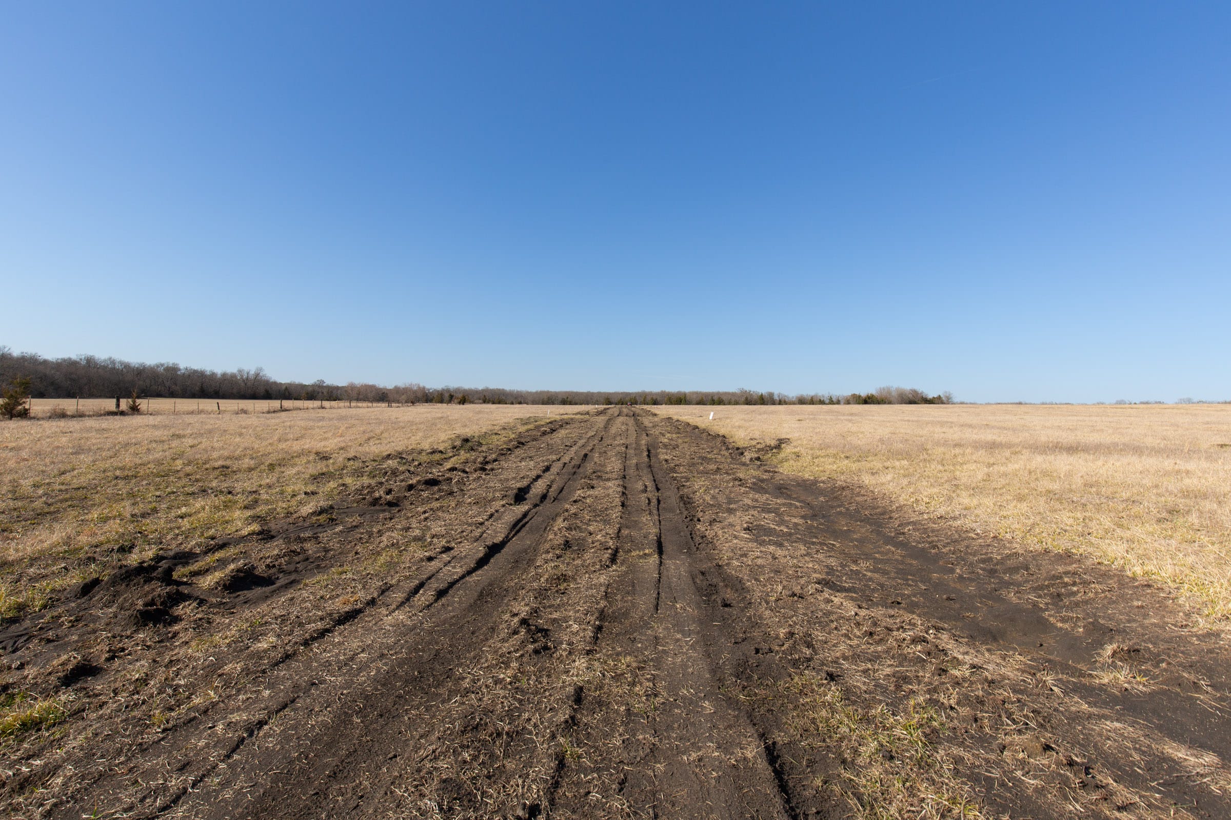 Wishing Star Ranch Tract 80 photo 1