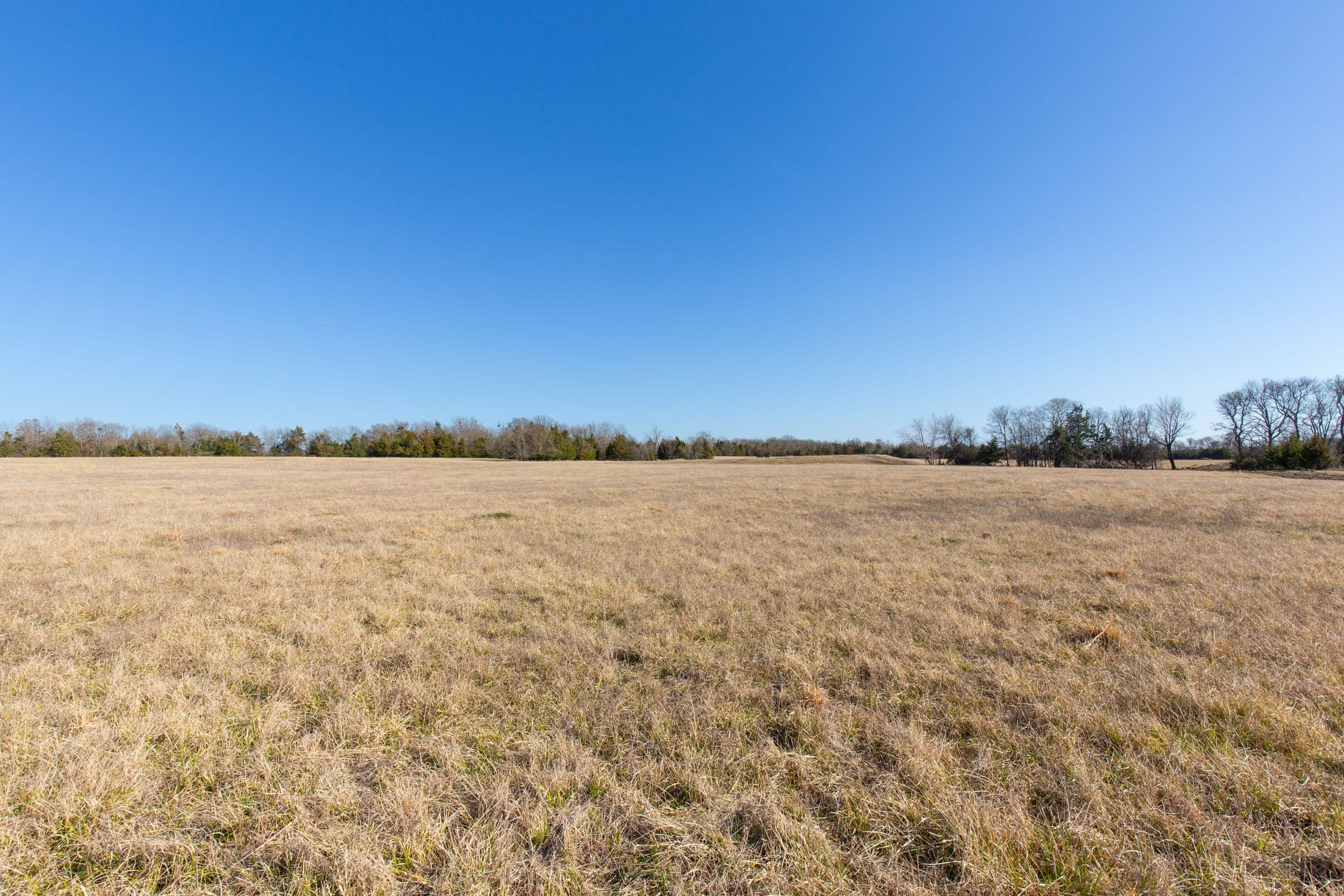 Wishing Star Ranch Tract 80 photo 2