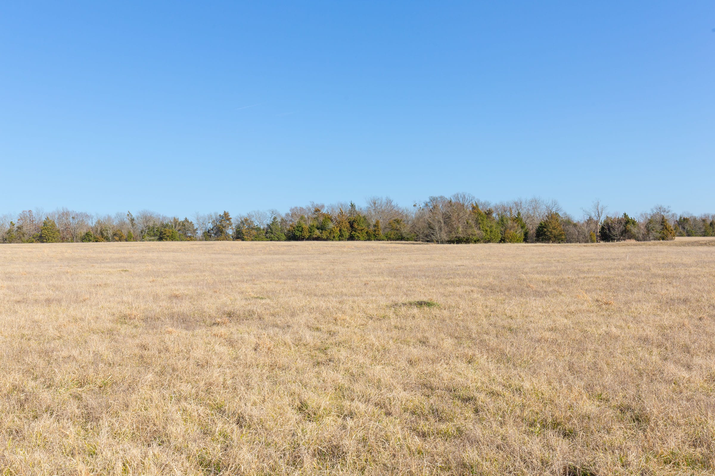 Wishing Star Ranch Tract 80 photo 3