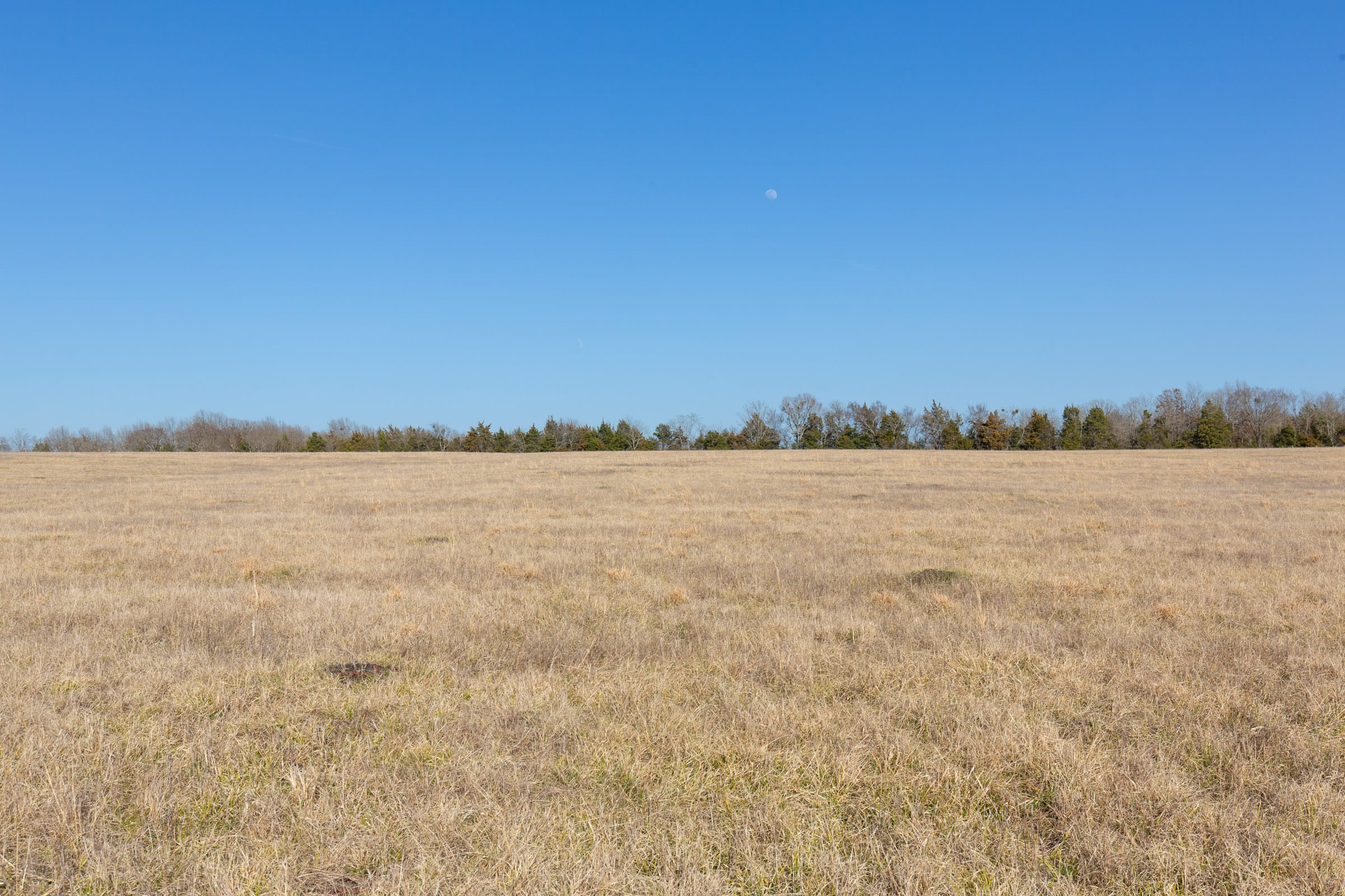 Wishing Star Ranch Tract 80 photo 4