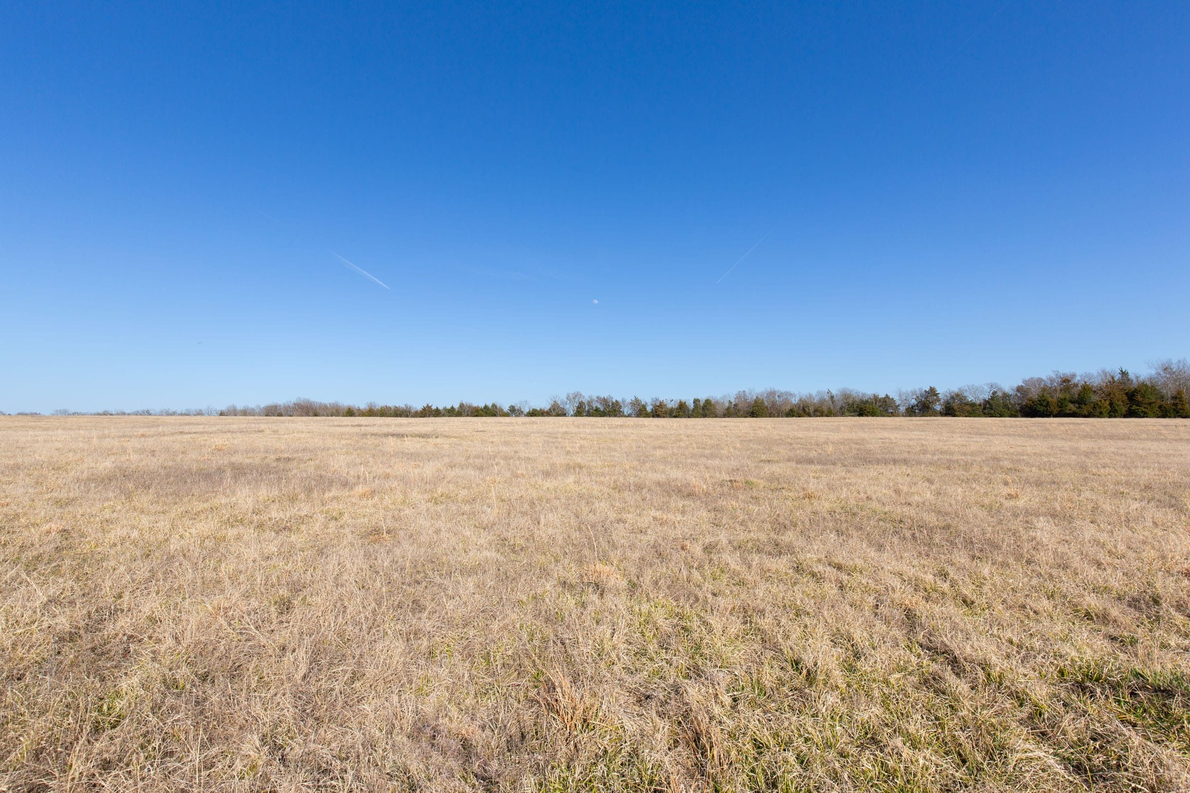 Wishing Star Ranch Tract 80 photo 5