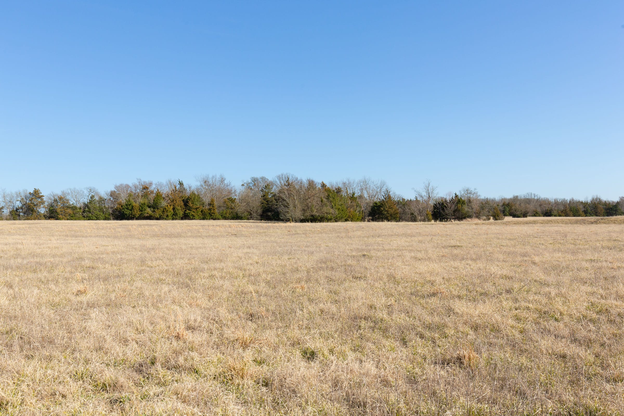 Wishing Star Ranch Tract 80 photo 6