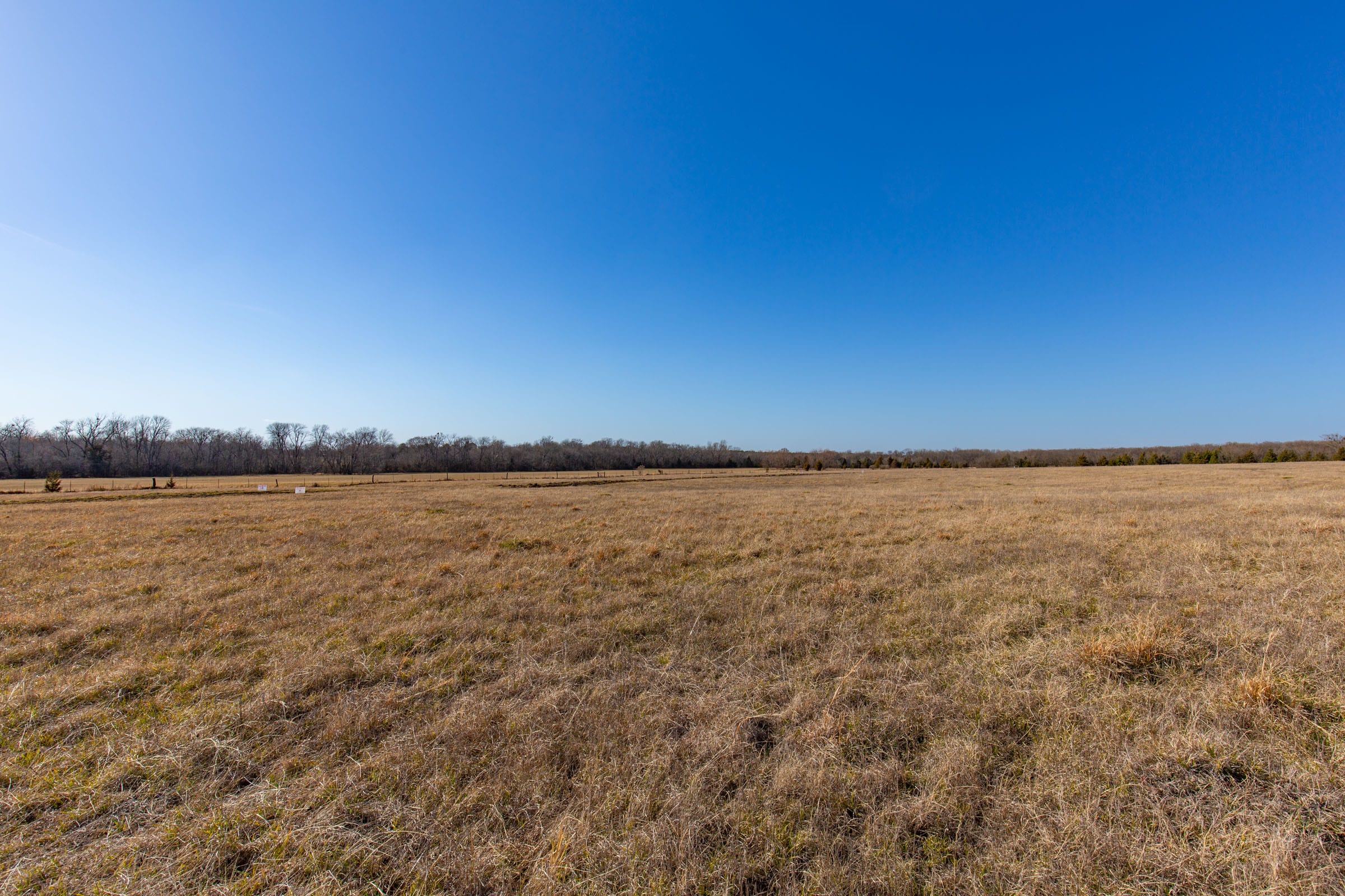 Wishing Star Ranch Tract 80 photo 8