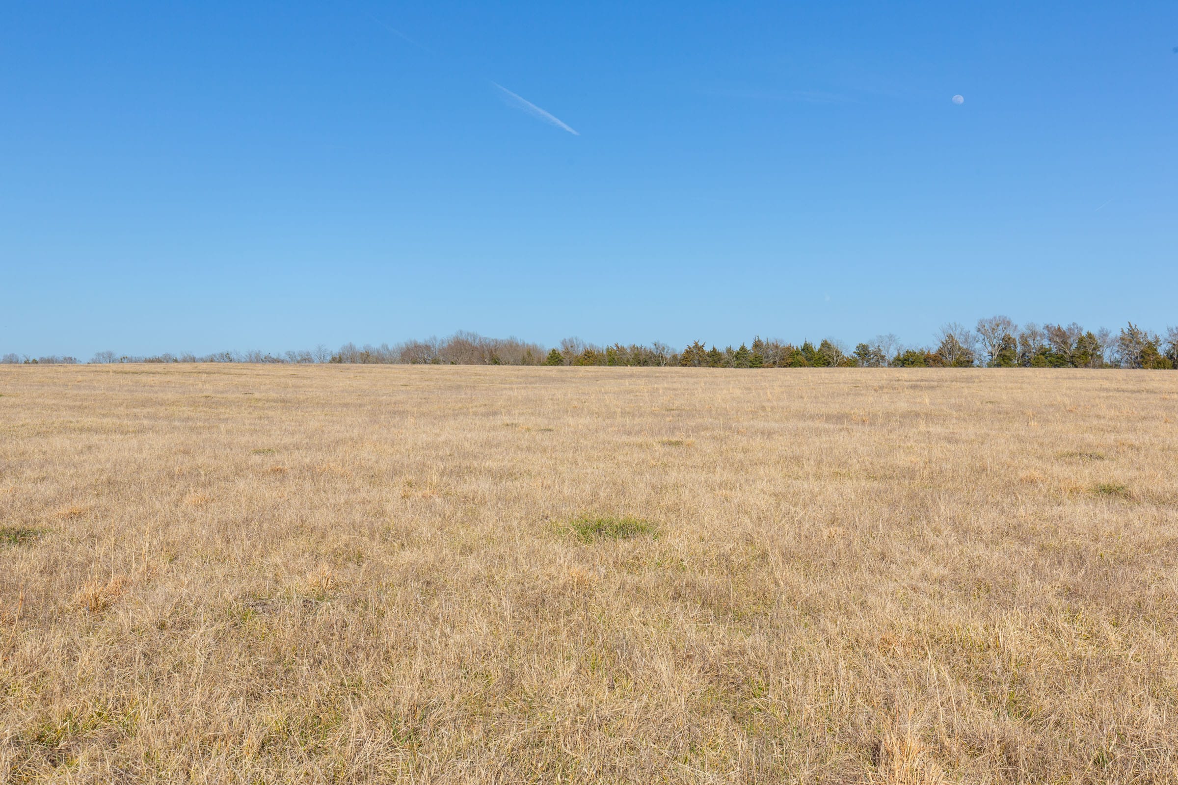 Wishing Star Ranch Tract 80 photo 10